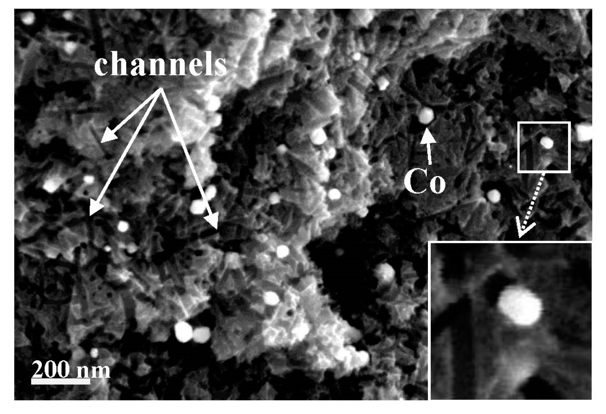 Molecules 25 04255 g019