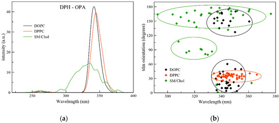 Molecules | Free Full-Text | Influence of Membrane Phase on the Optical  Properties of DPH