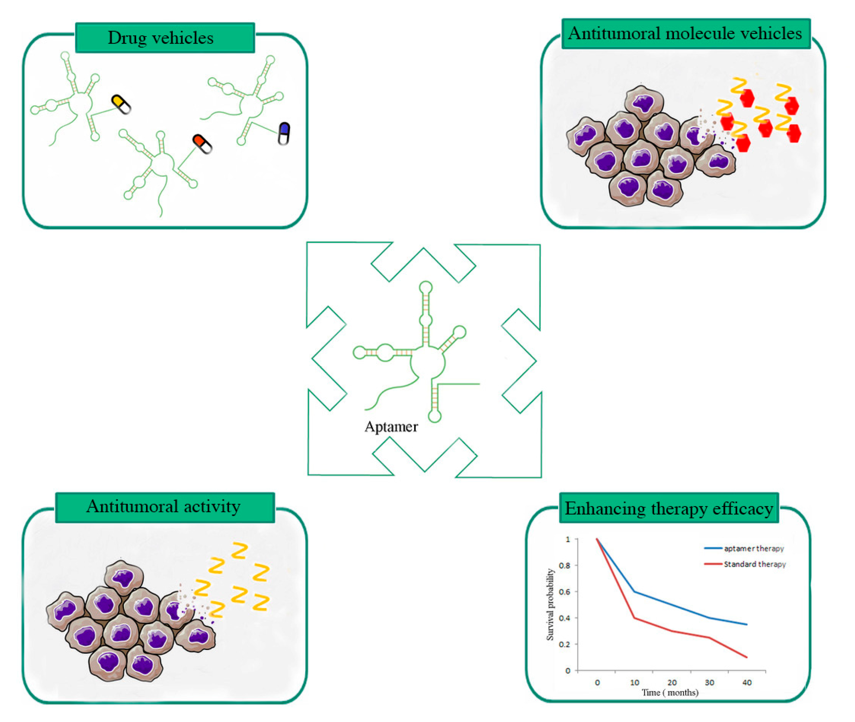 Molecules 25 04267 g002