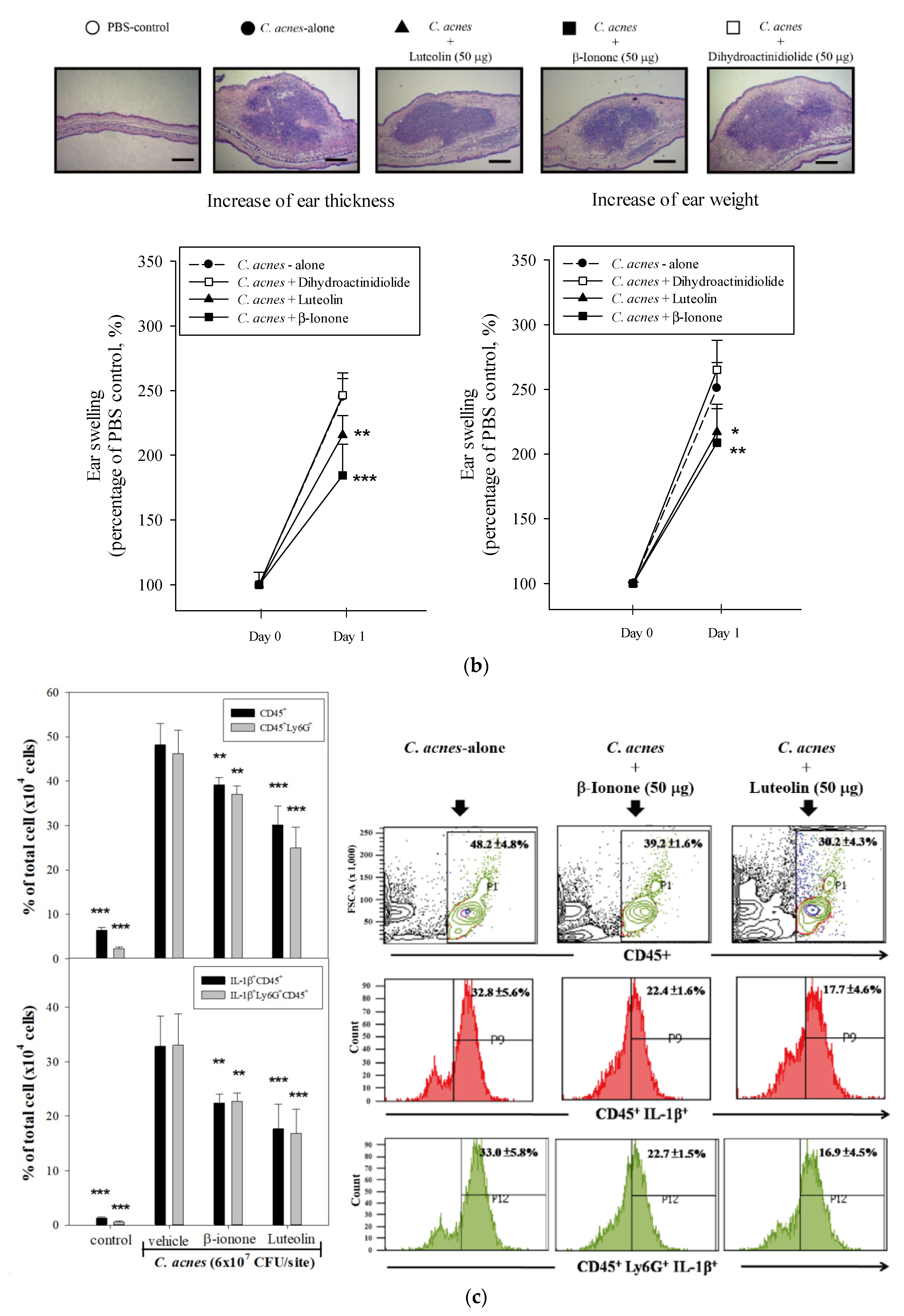 Molecules 25 04277 g004b