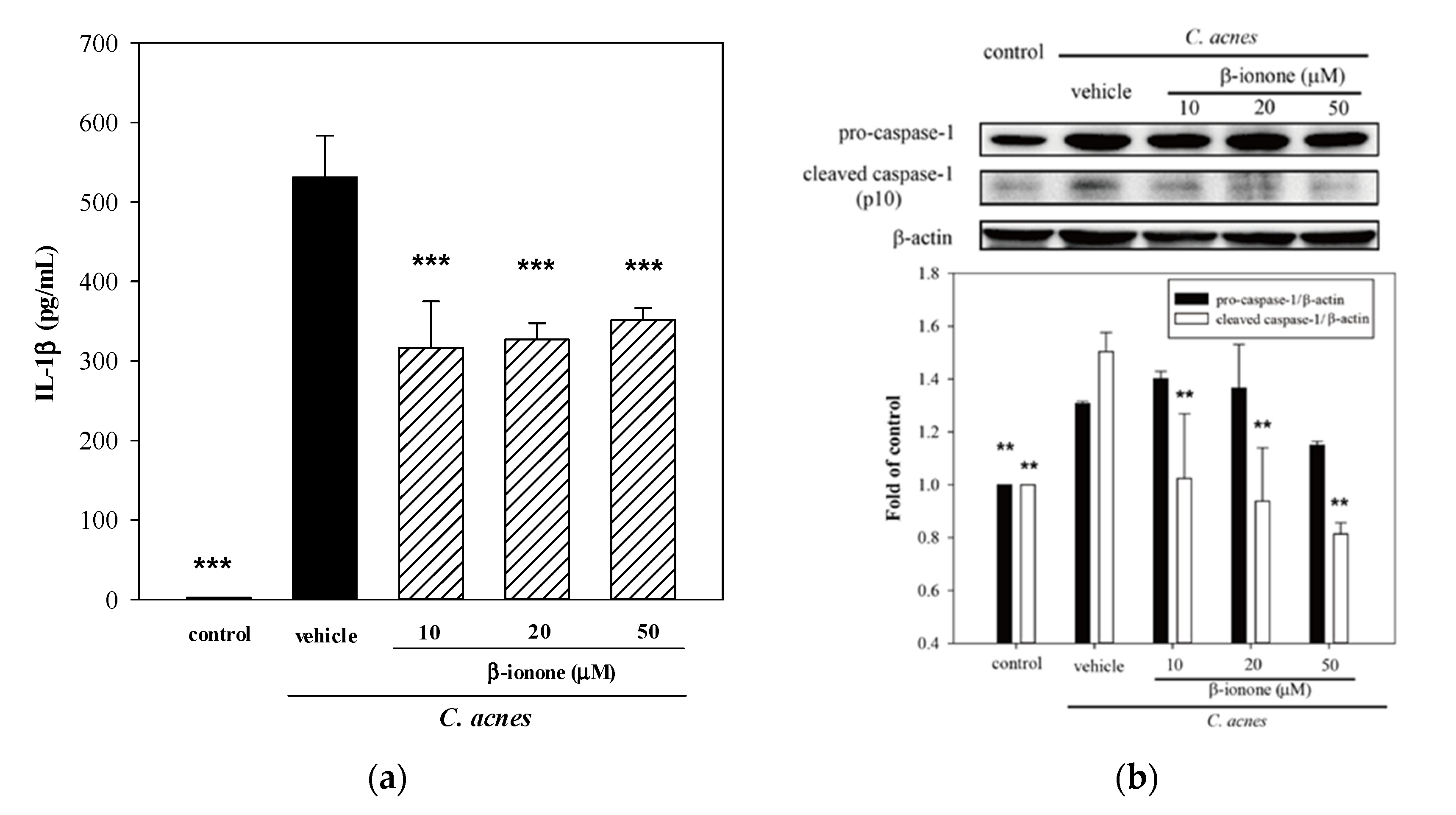 Molecules 25 04277 g005