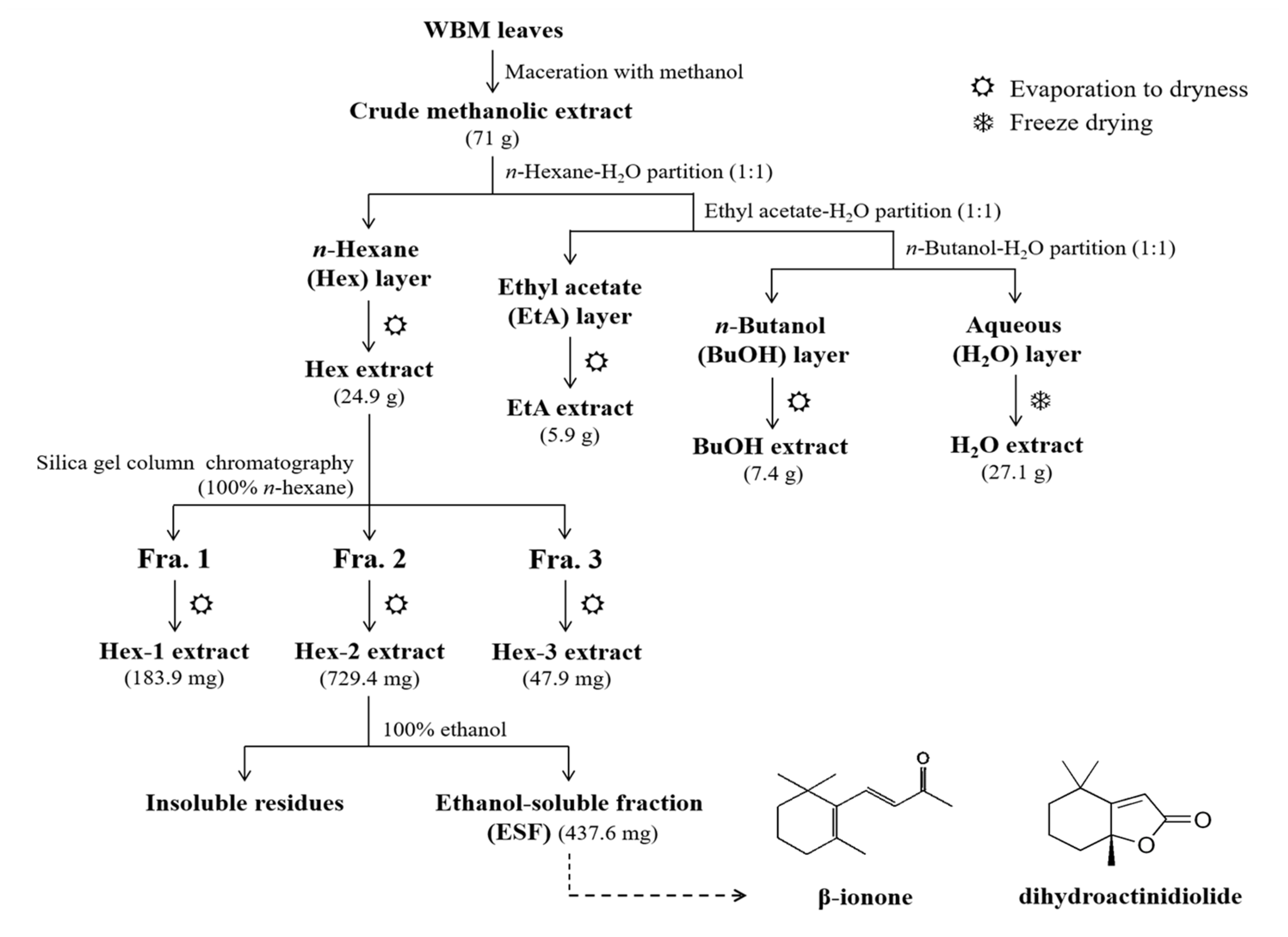 Molecules 25 04277 g006