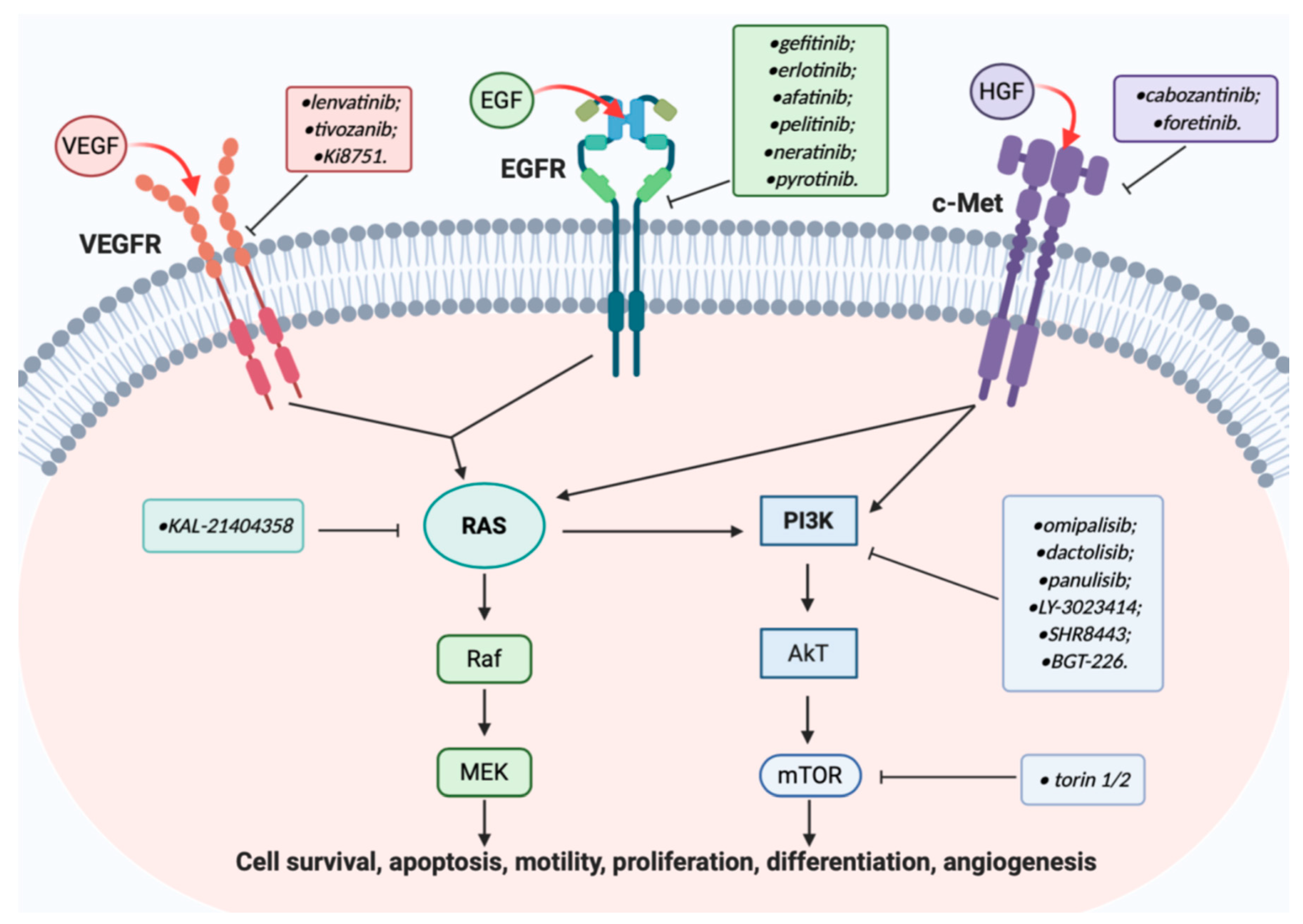Molecules 25 04279 g002 Molecules 25 04279 g002