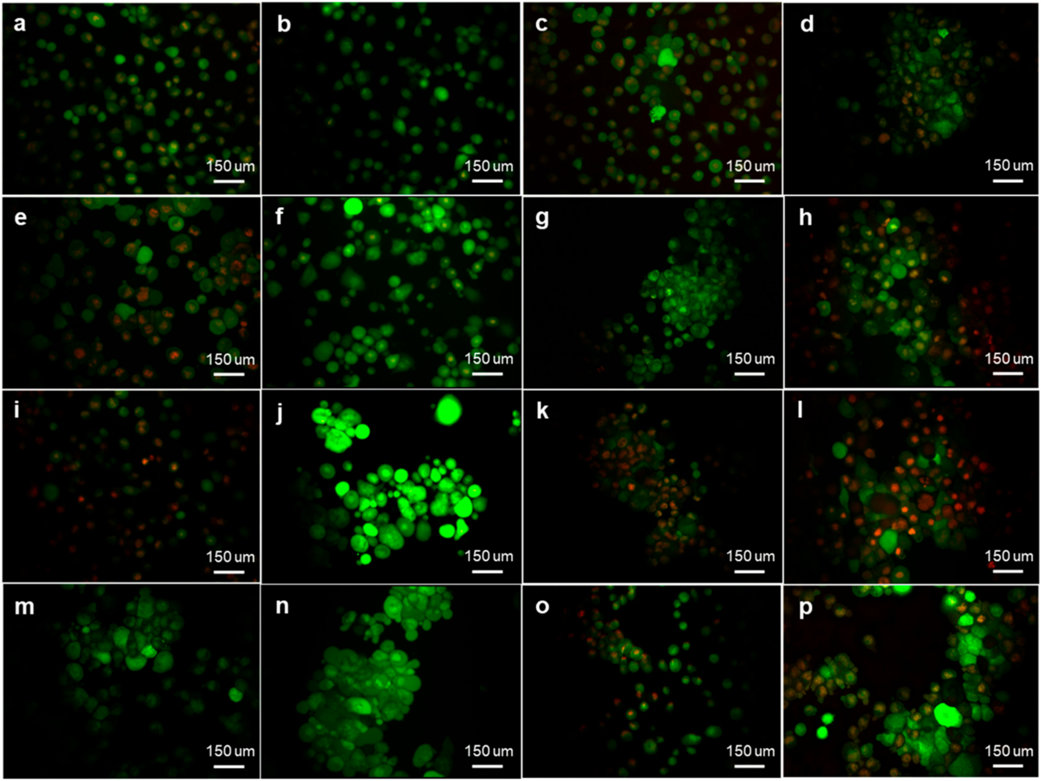 Molecules 25 04337 g001 Molecules 25 04337 g001
