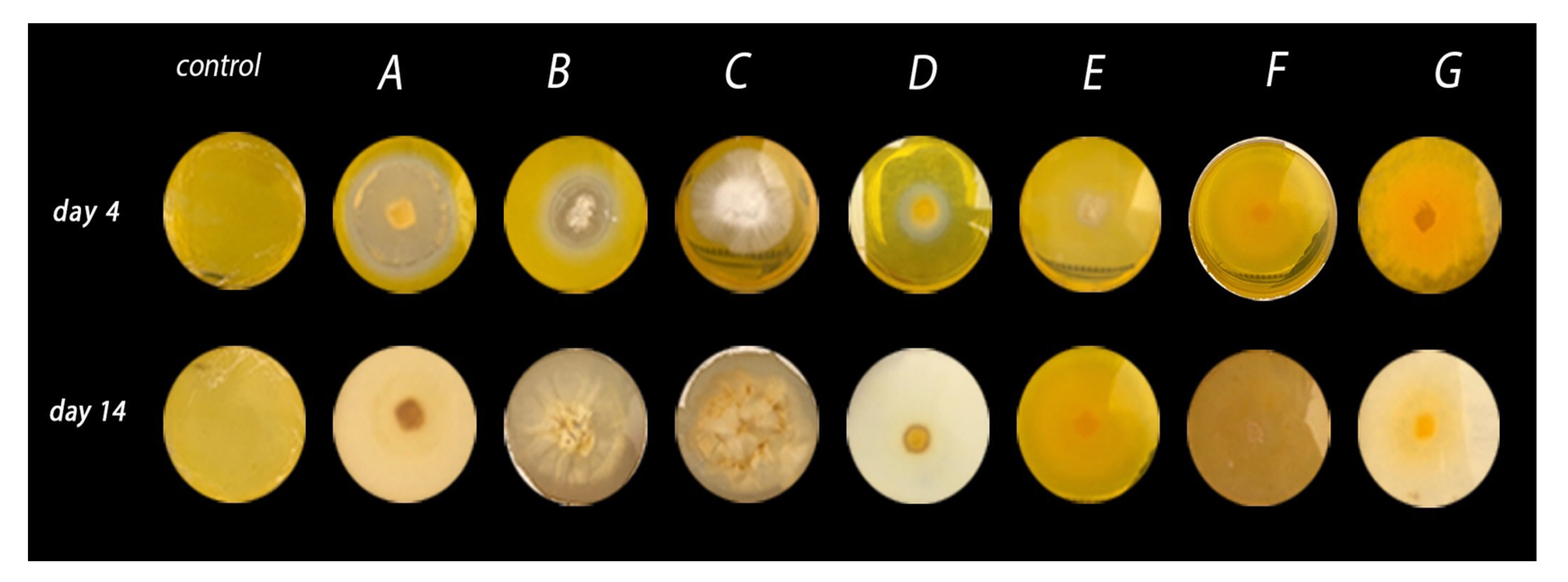 Molecules 25 04344 g001