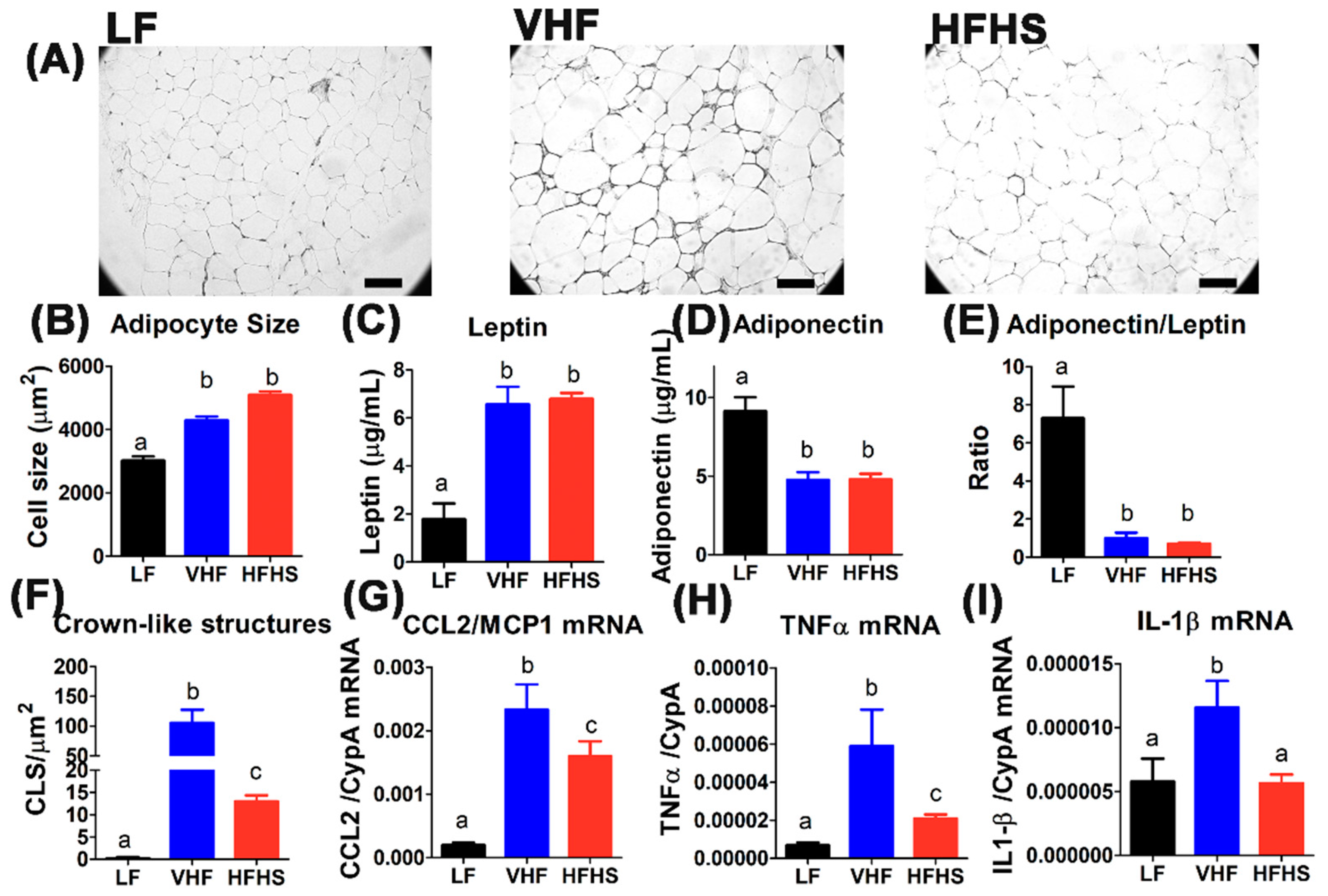 Molecules 25 04369 g004