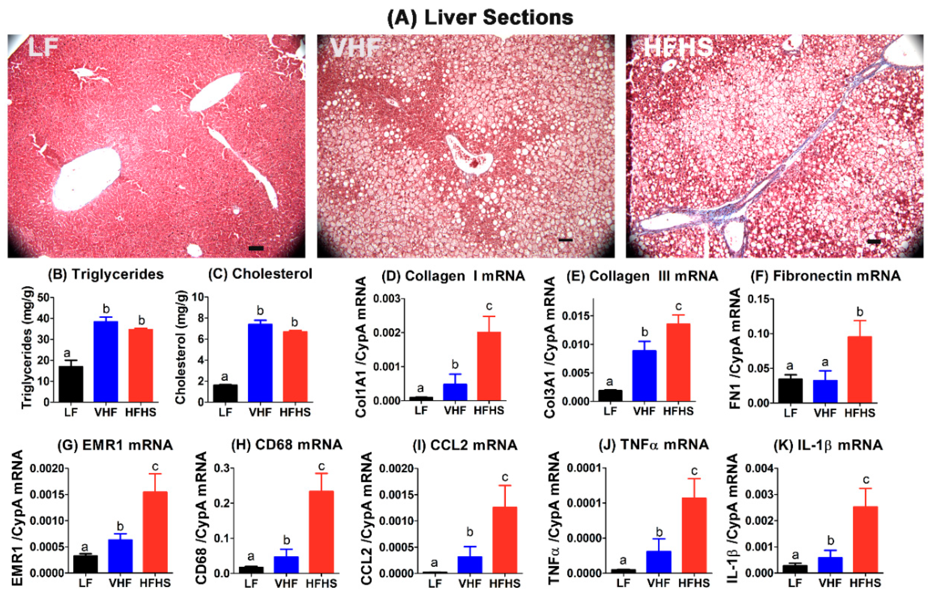 Molecules 25 04369 g005