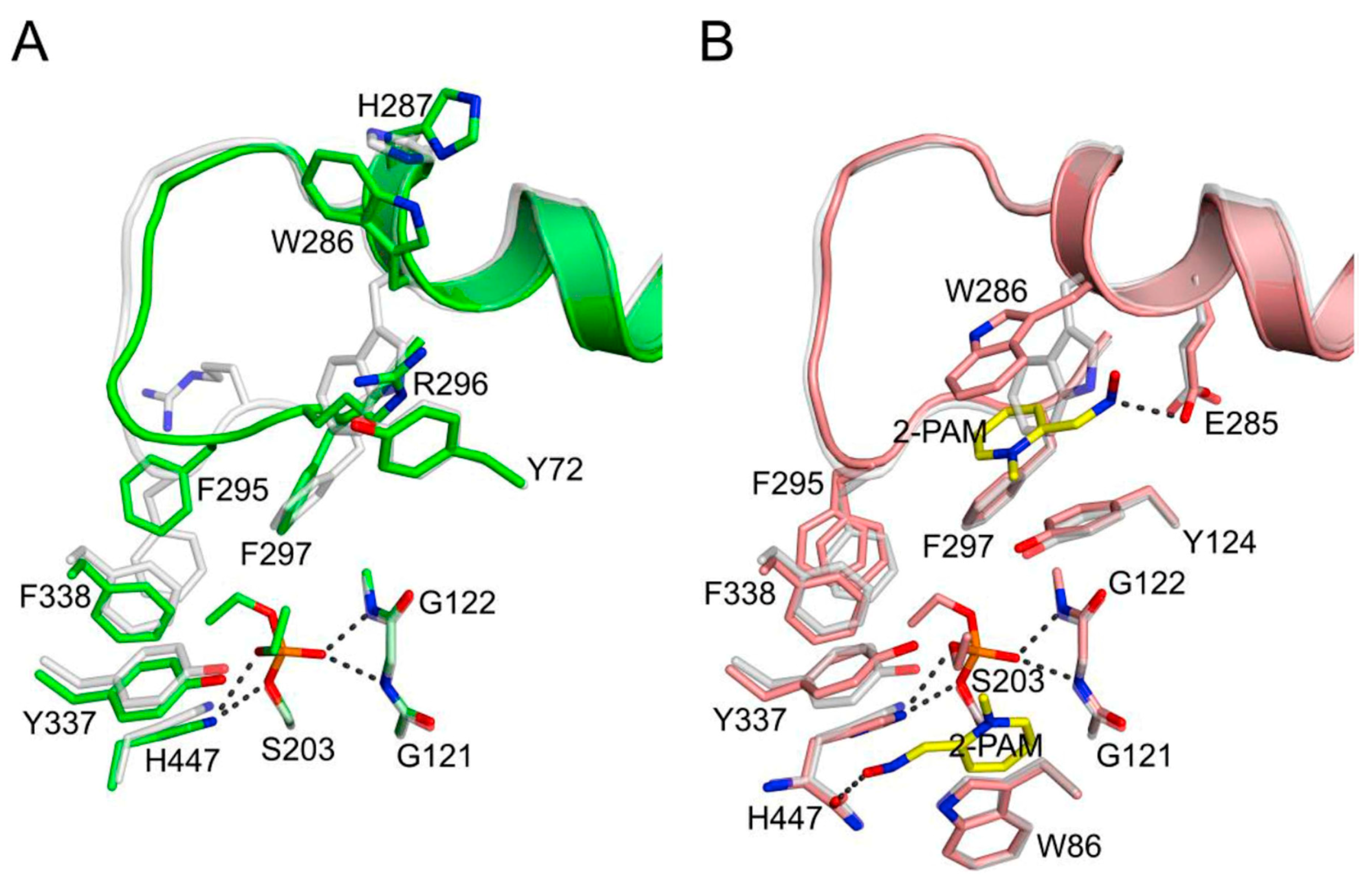 Molecules 25 04412 g002 Molecules 25 04412 g002