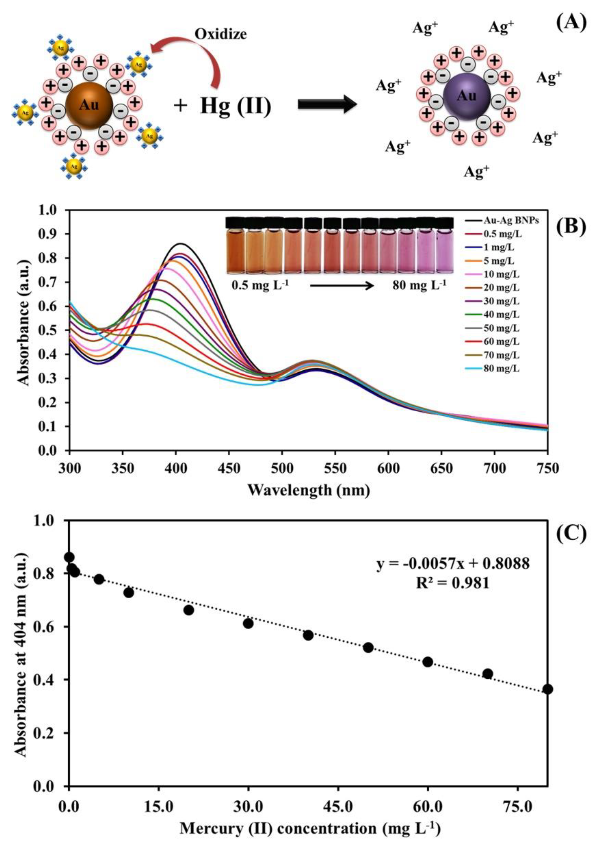 Molecules 25 04443 g005