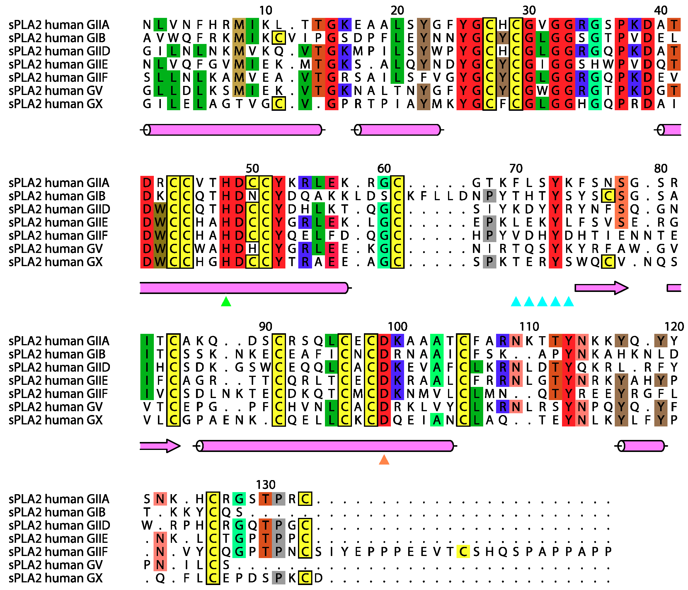 Molecules 25 04459 g001 Molecules 25 04459 g001