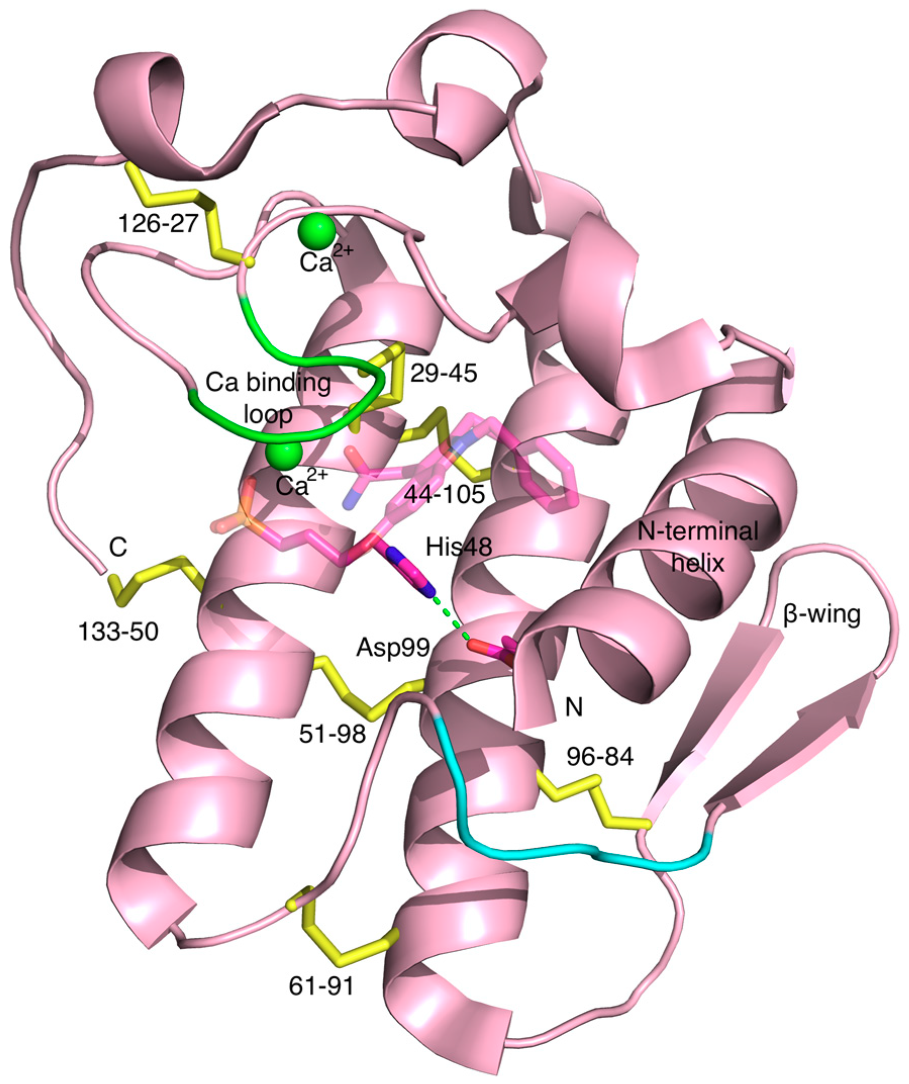 Molecules 25 04459 g002 Molecules 25 04459 g002