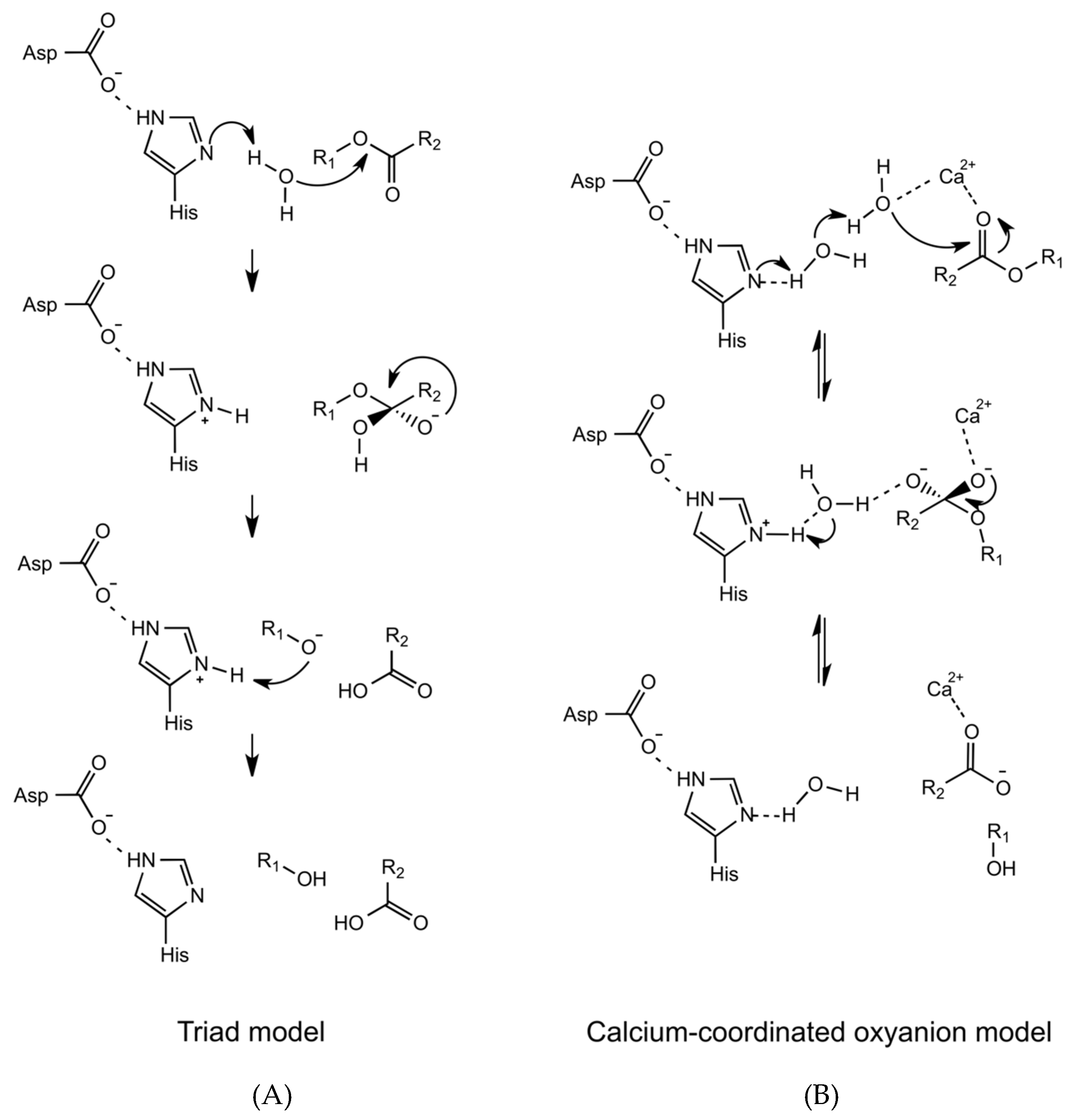 Molecules 25 04459 g003 Molecules 25 04459 g003