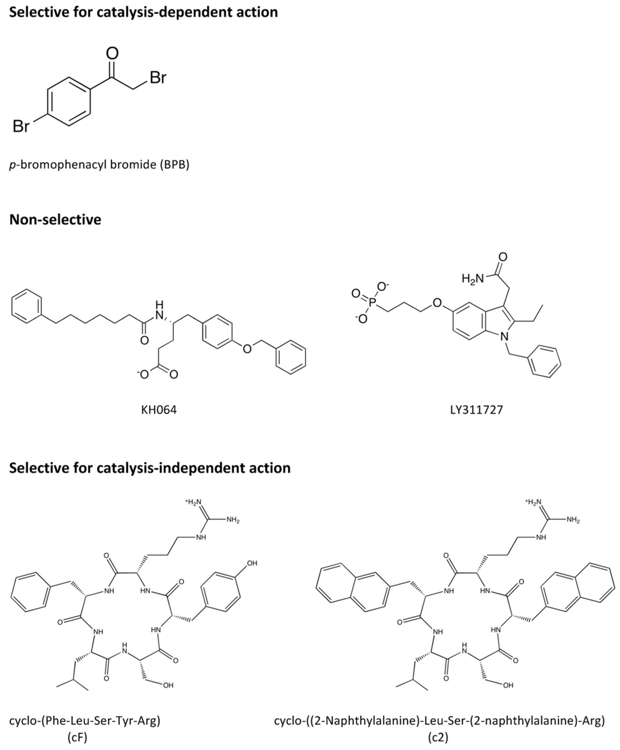 Molecules 25 04459 g007 Molecules 25 04459 g007