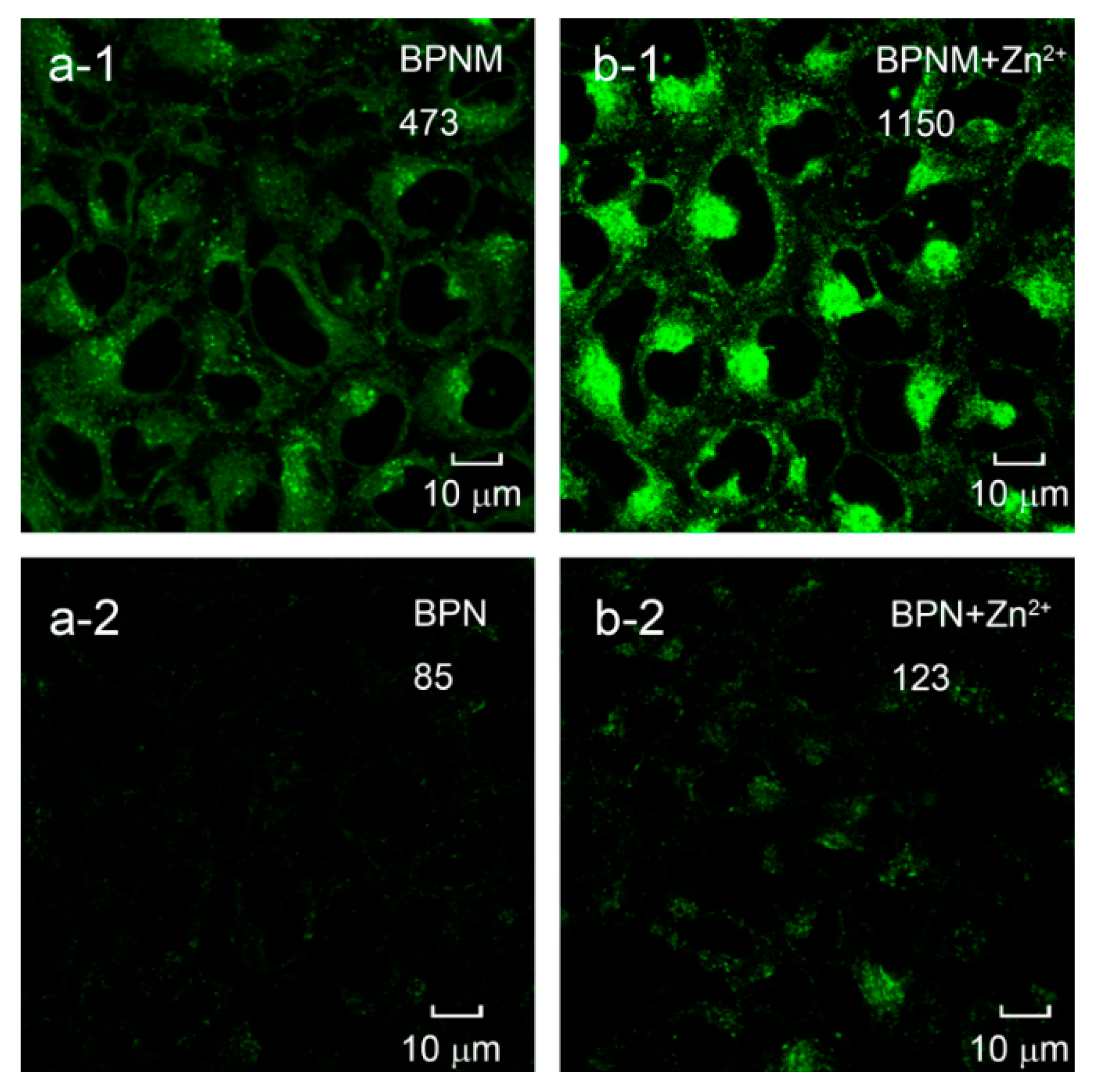 Molecules 25 04465 g005