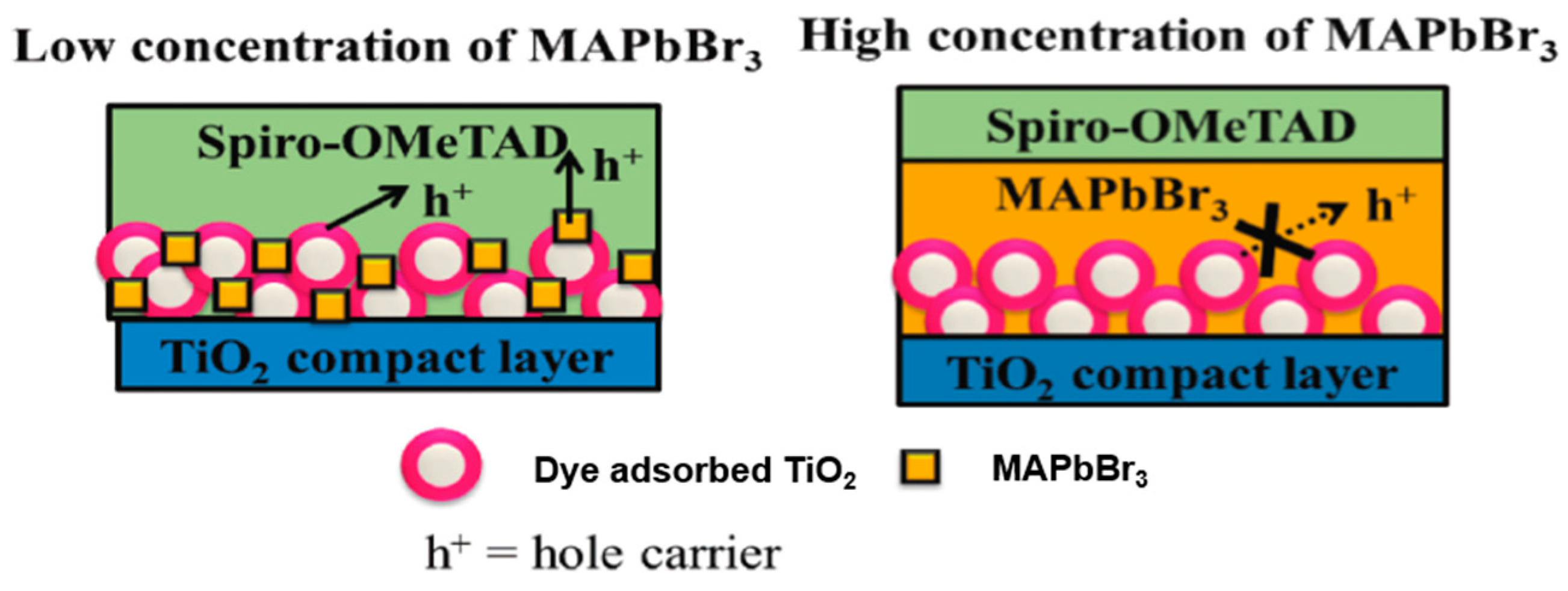Molecules 25 04478 g011