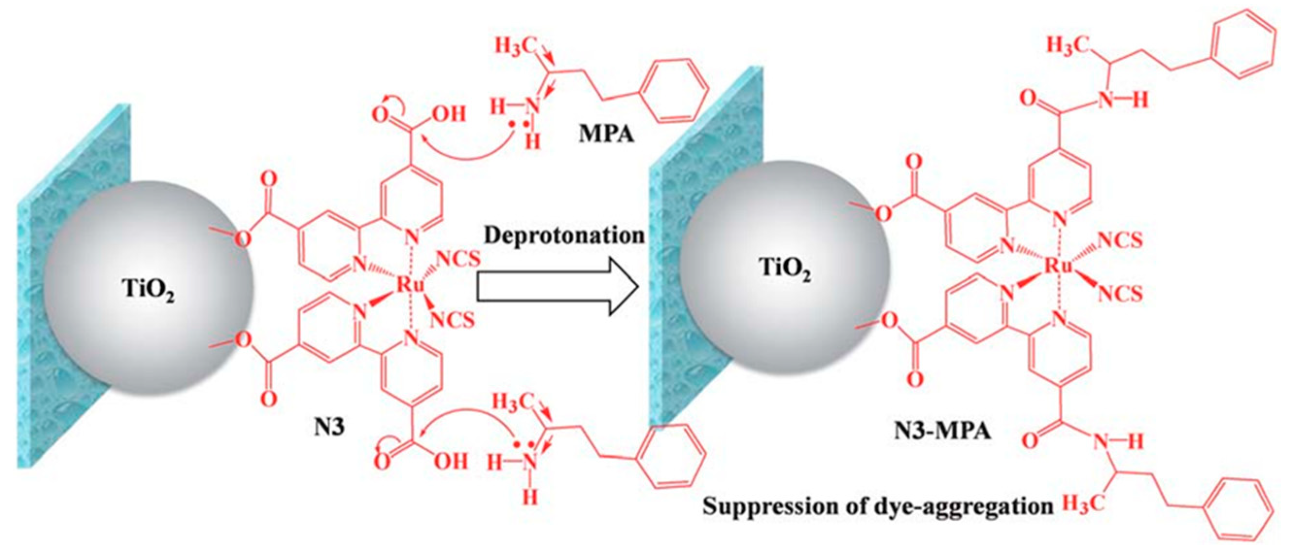 Molecules 25 04478 g012