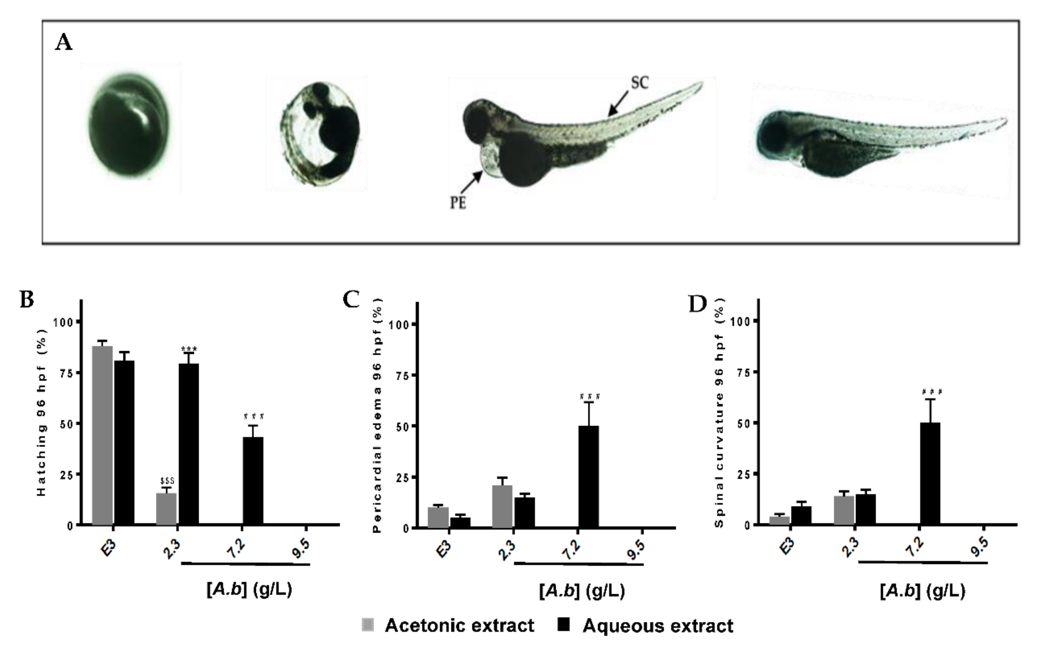 Molecules 25 04482 g004 Molecules 25 04482 g004