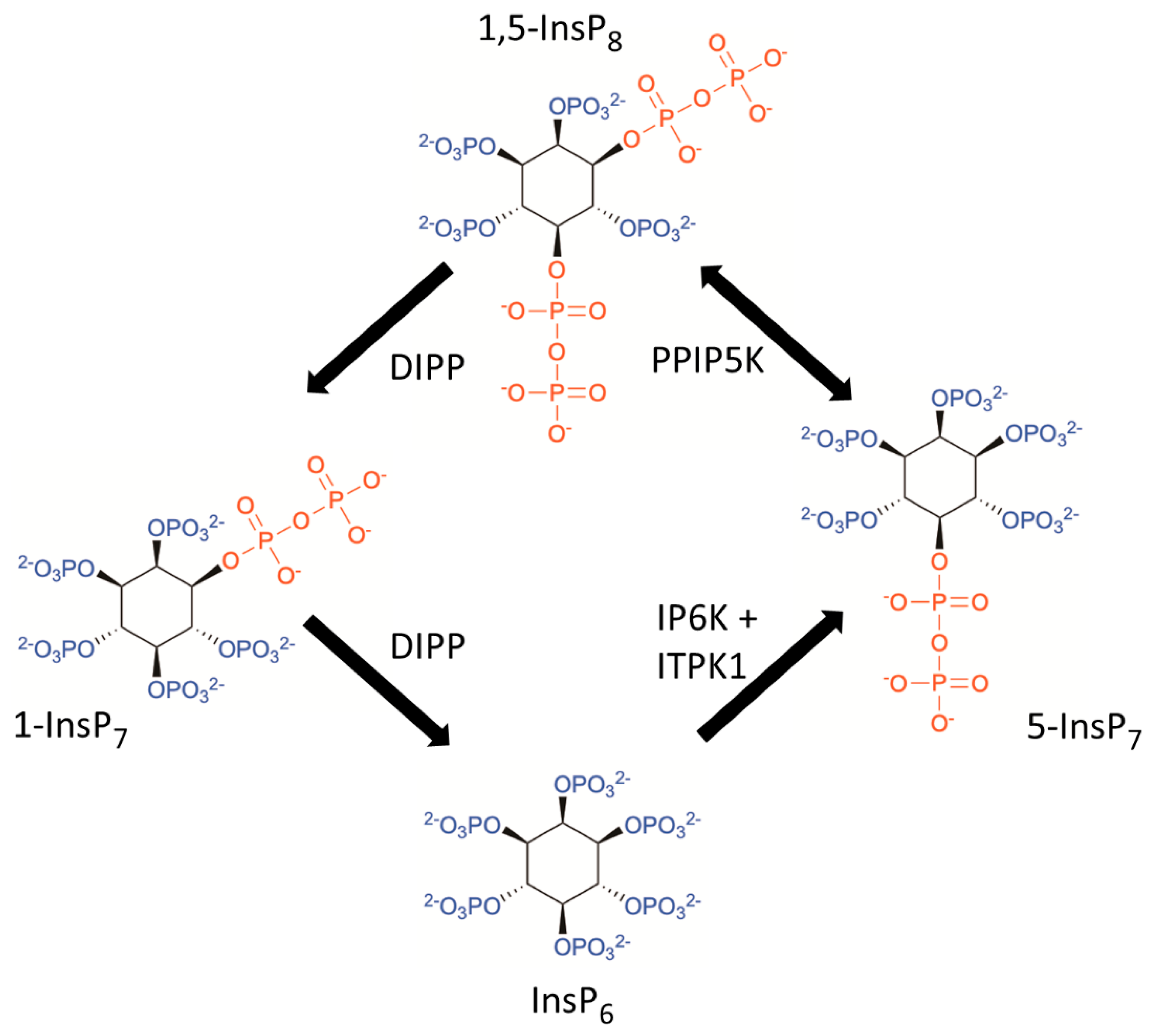 Molecules 25 04515 g001 Molecules 25 04515 g001