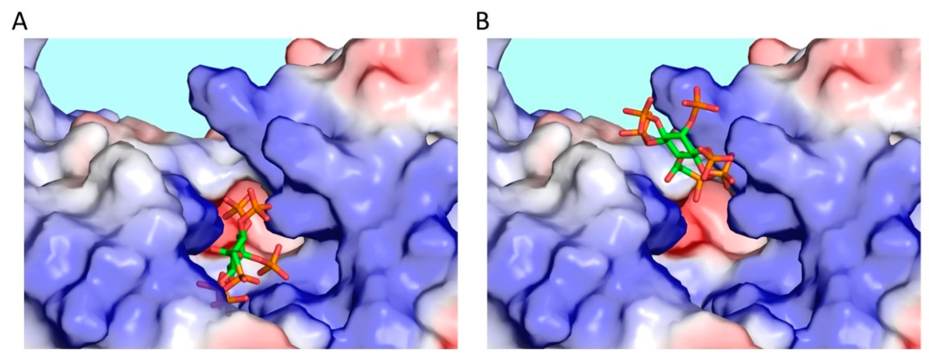 Molecules 25 04515 g003 Molecules 25 04515 g003