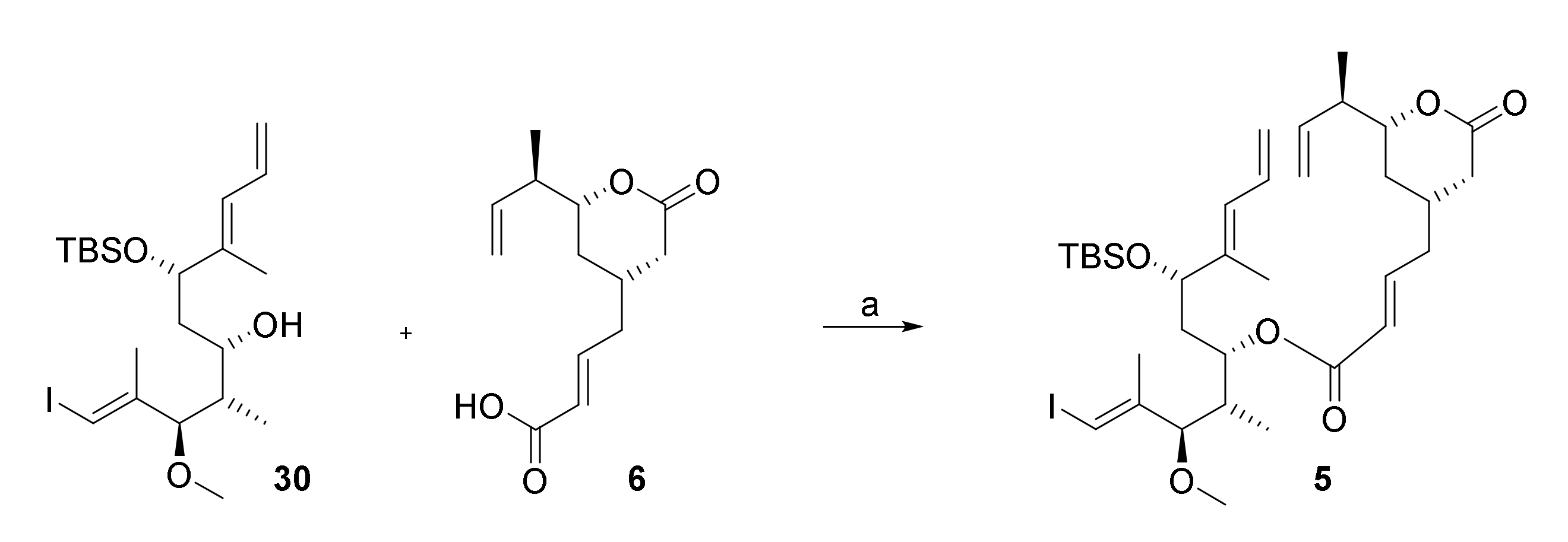 Molecules Free Full Text Ring Closing Metathesis Approaches Towards The Total Synthesis Of Rhizoxins Html