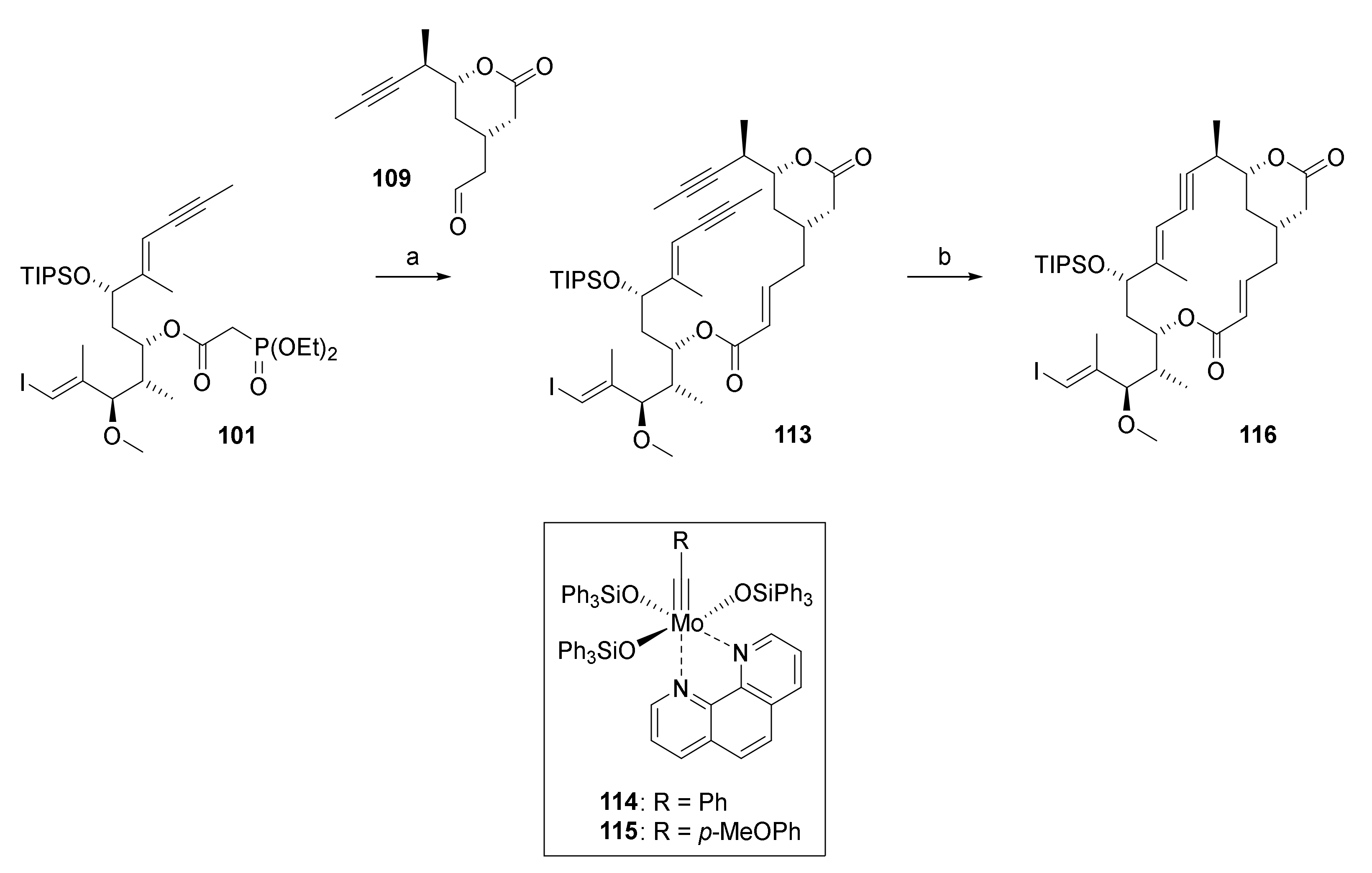 Molecules Free Full Text Ring Closing Metathesis Approaches Towards The Total Synthesis Of Rhizoxins Html