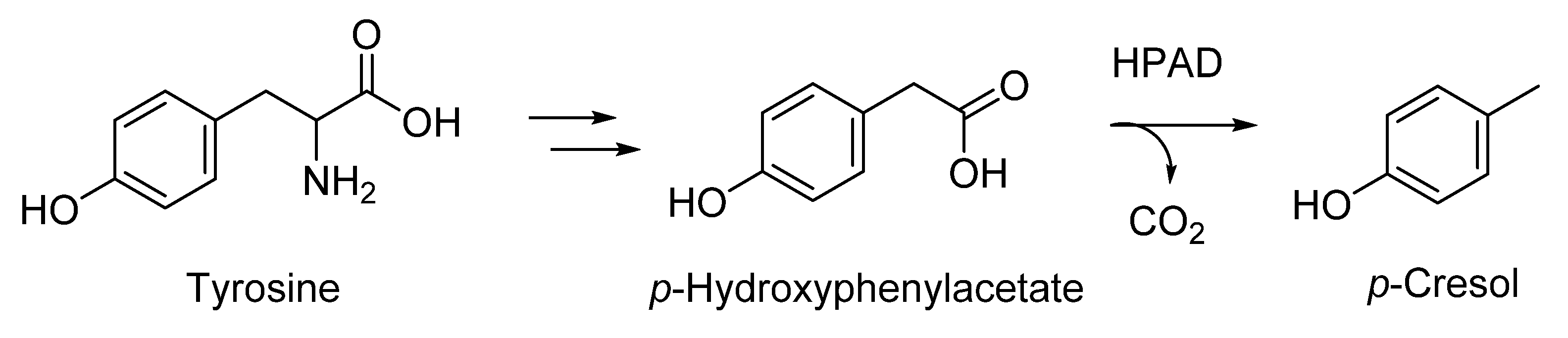 Molecules 25 04529 g004 Molecules 25 04529 g004