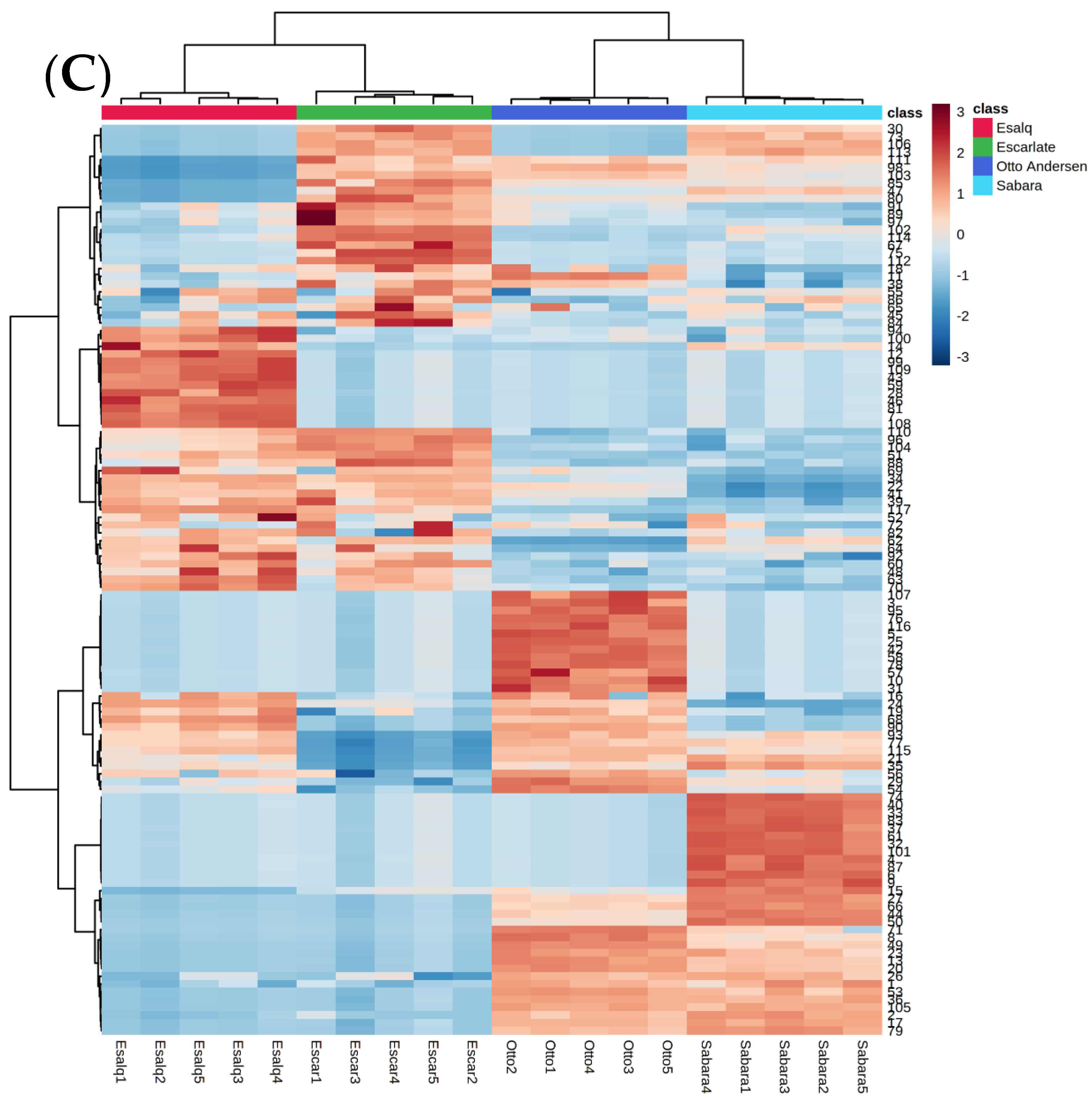 Molecules 25 04543 g001b