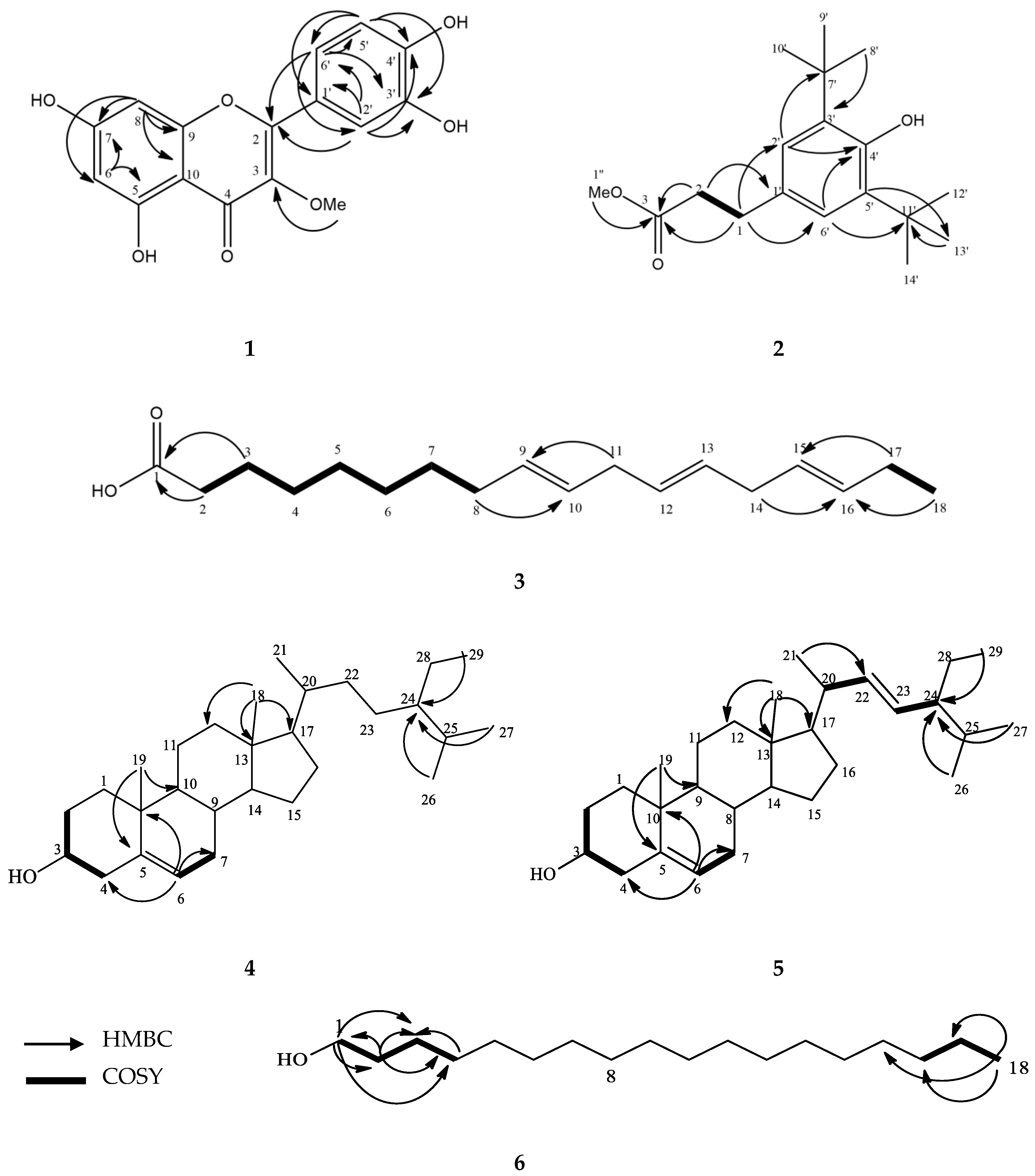 Molecules 25 04545 g002