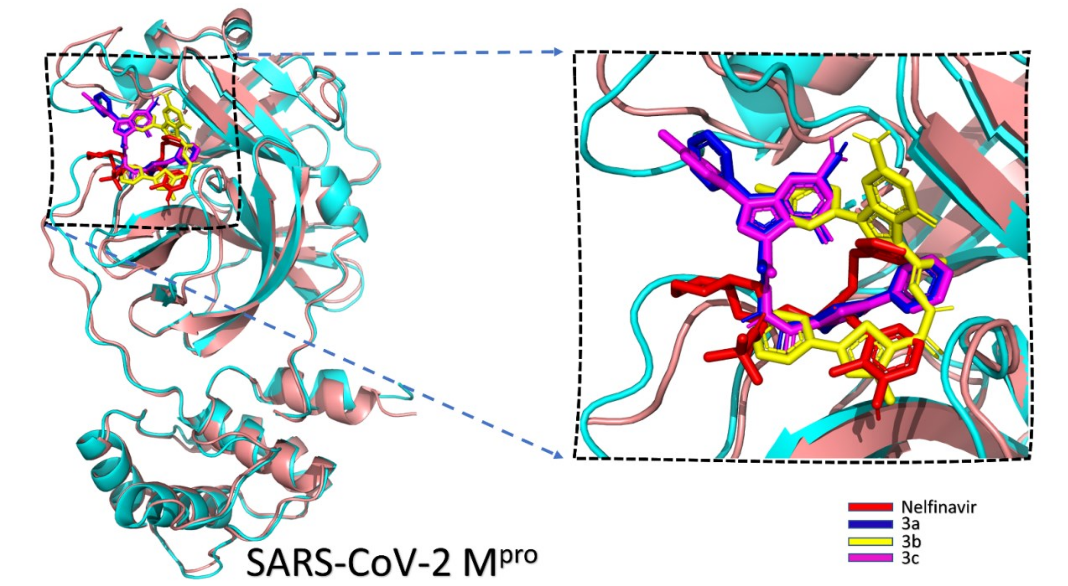 Molecules 25 04565 g004 Molecules 25 04565 g004
