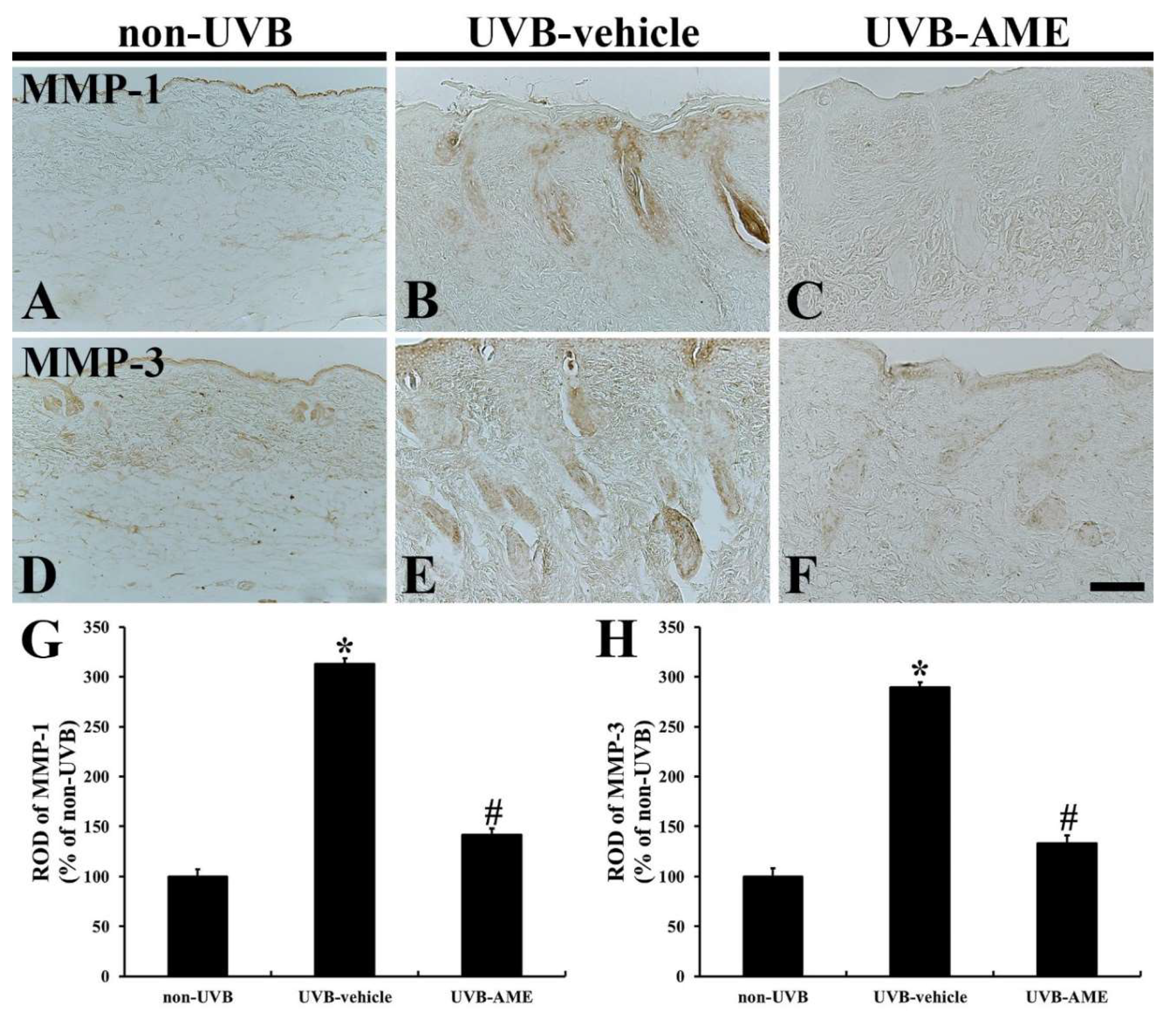 Molecules 25 04577 g006