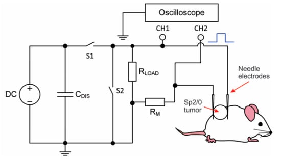 How to make a mouse electric shock Trap & Circuit Diagram High Voltage With  High Current //Components