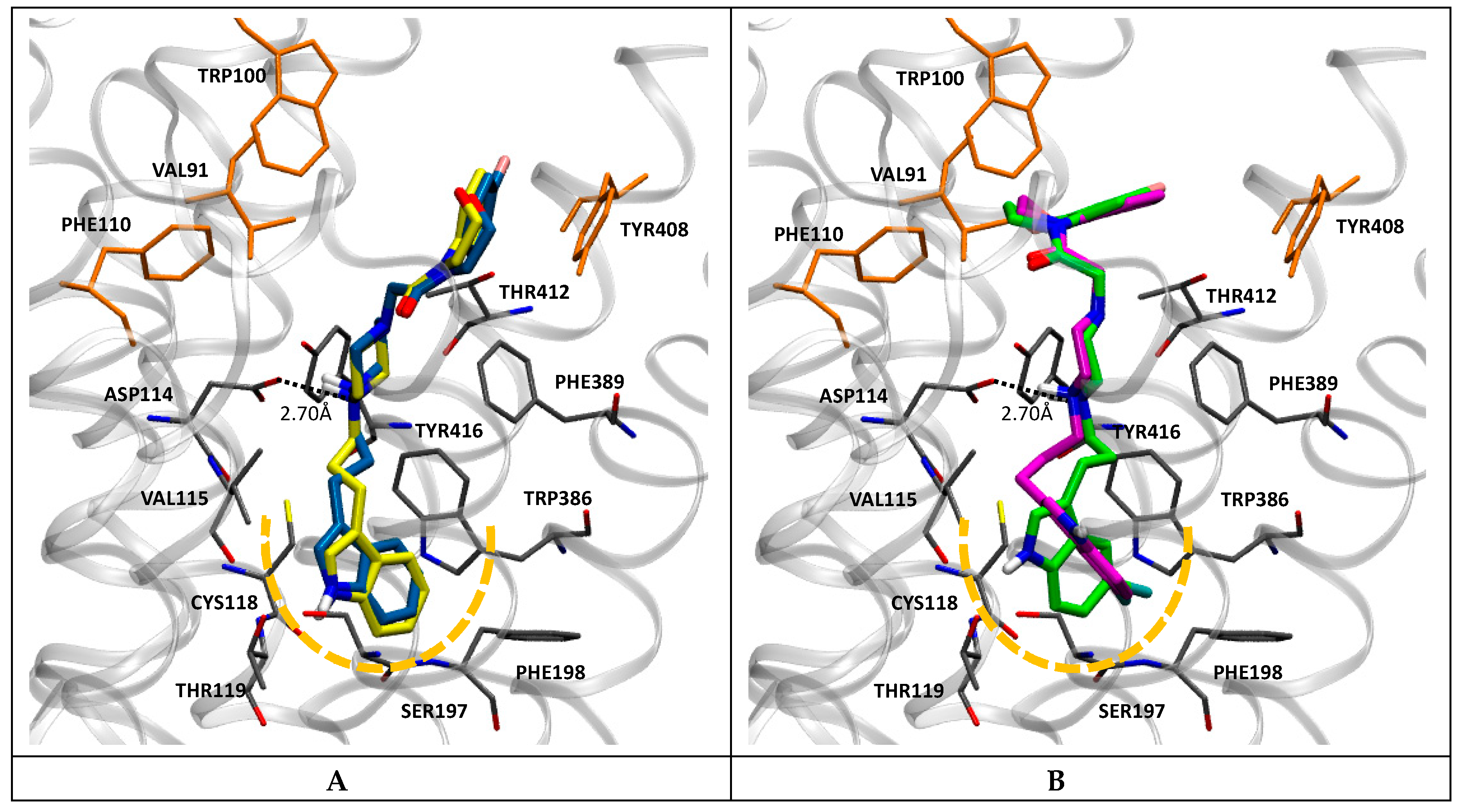 Molecules 25 04614 g003
