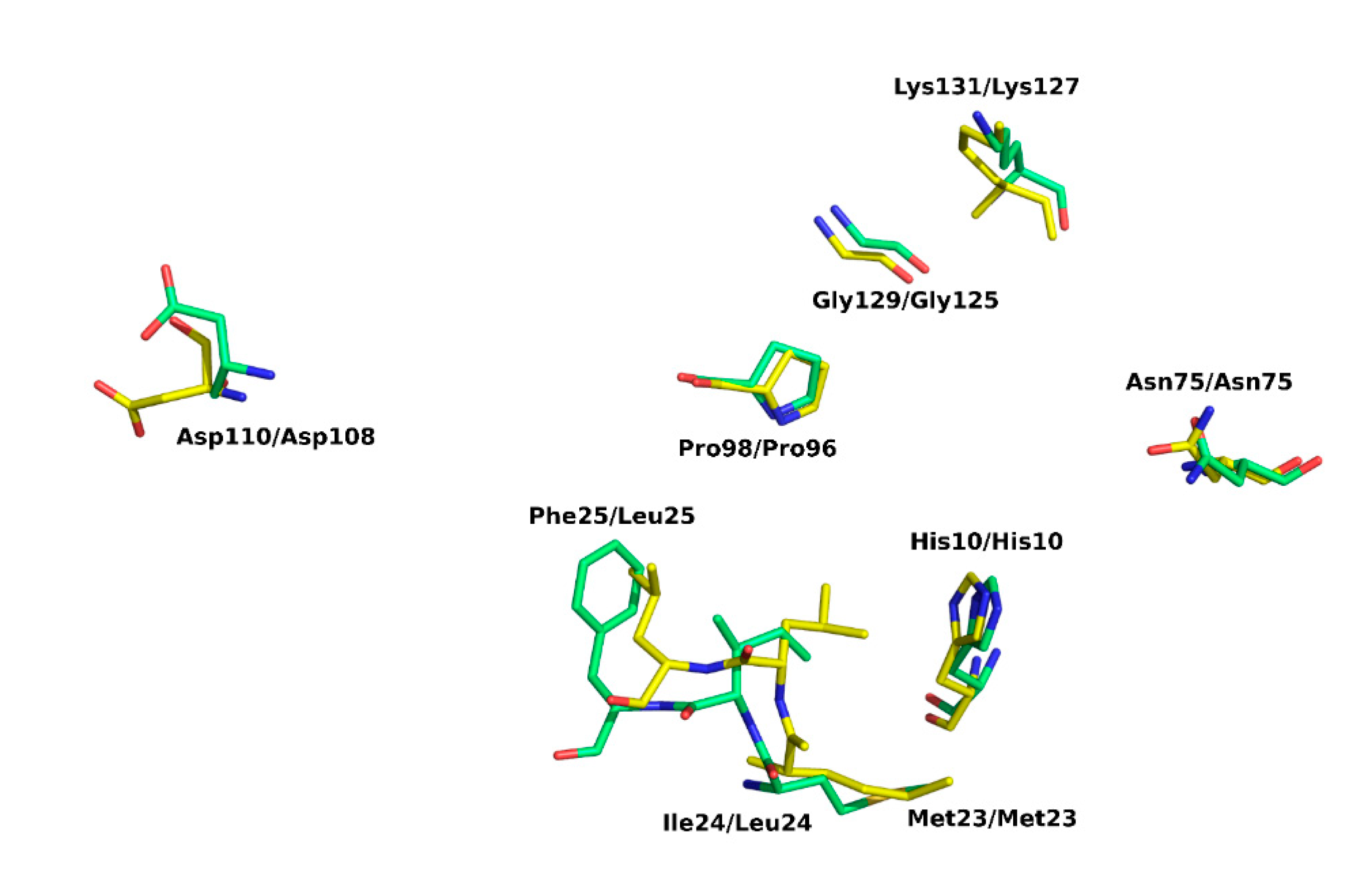 Molecules 25 04633 g008