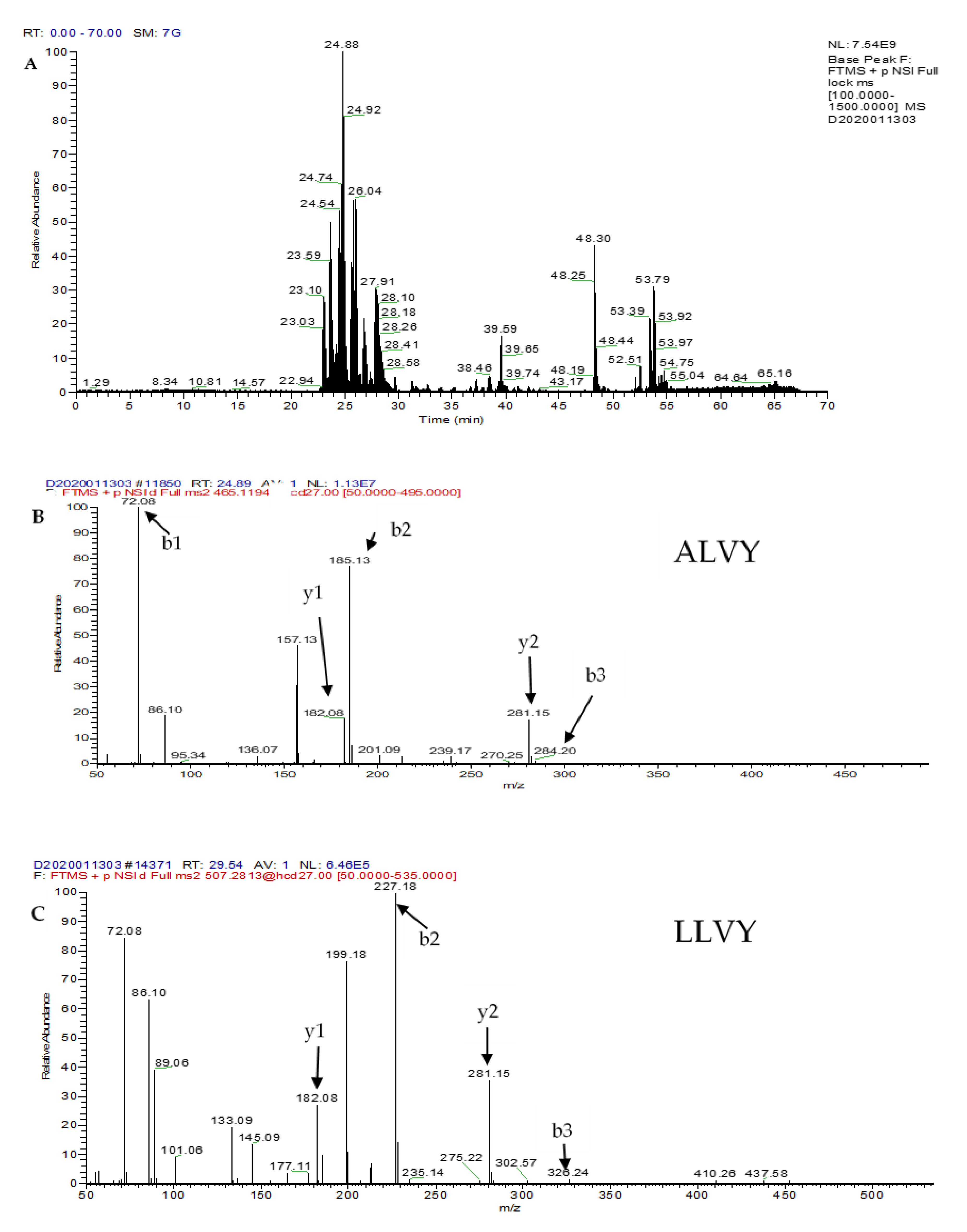 Molecules Free Full Text Ace Inhibitory Activity And Molecular Docking Of Gac Seed Protein Hydrolysate Purified By Hilic And Rp Hplc Html