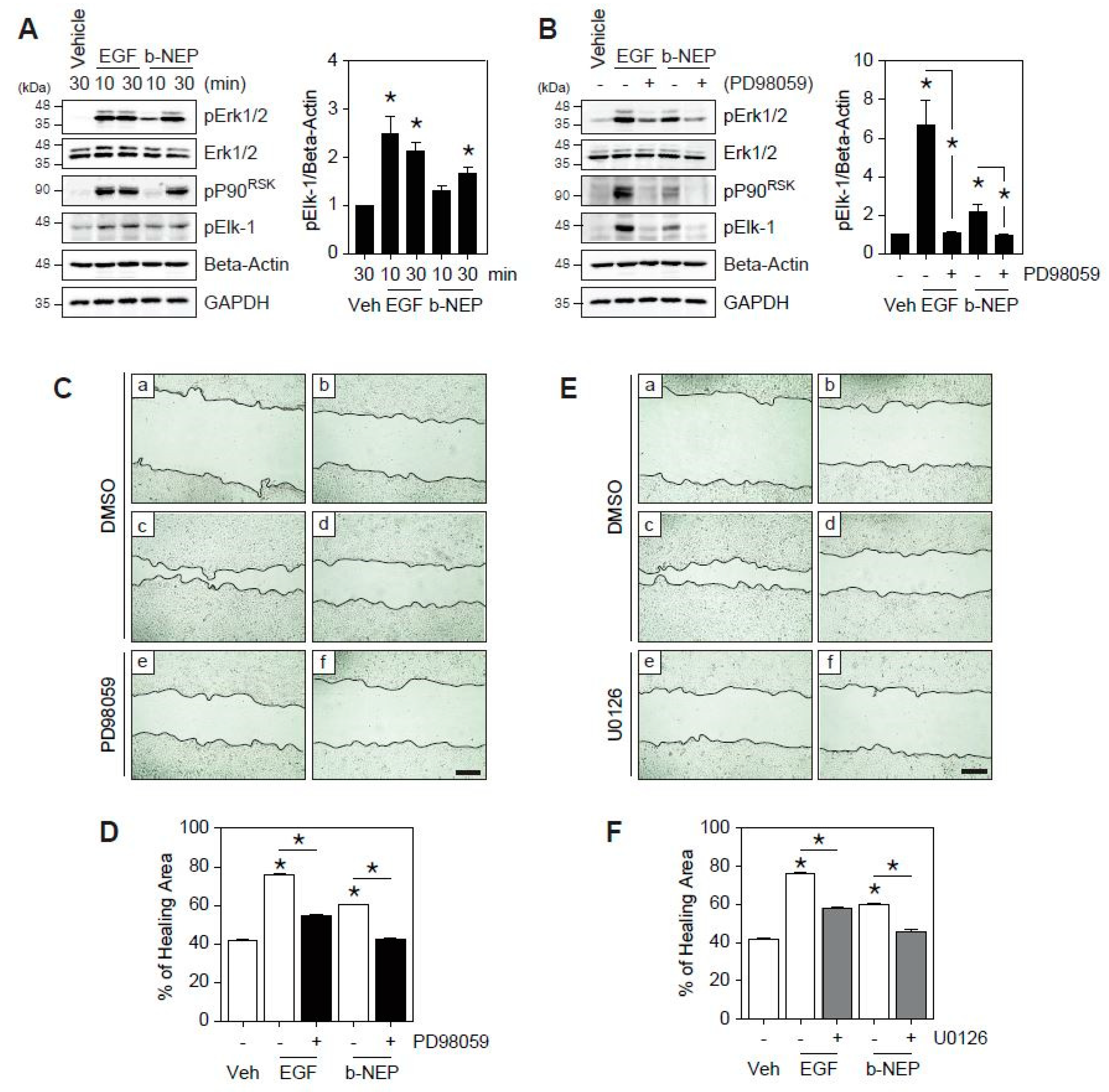 Molecules 25 04640 g002 Molecules 25 04640 g002