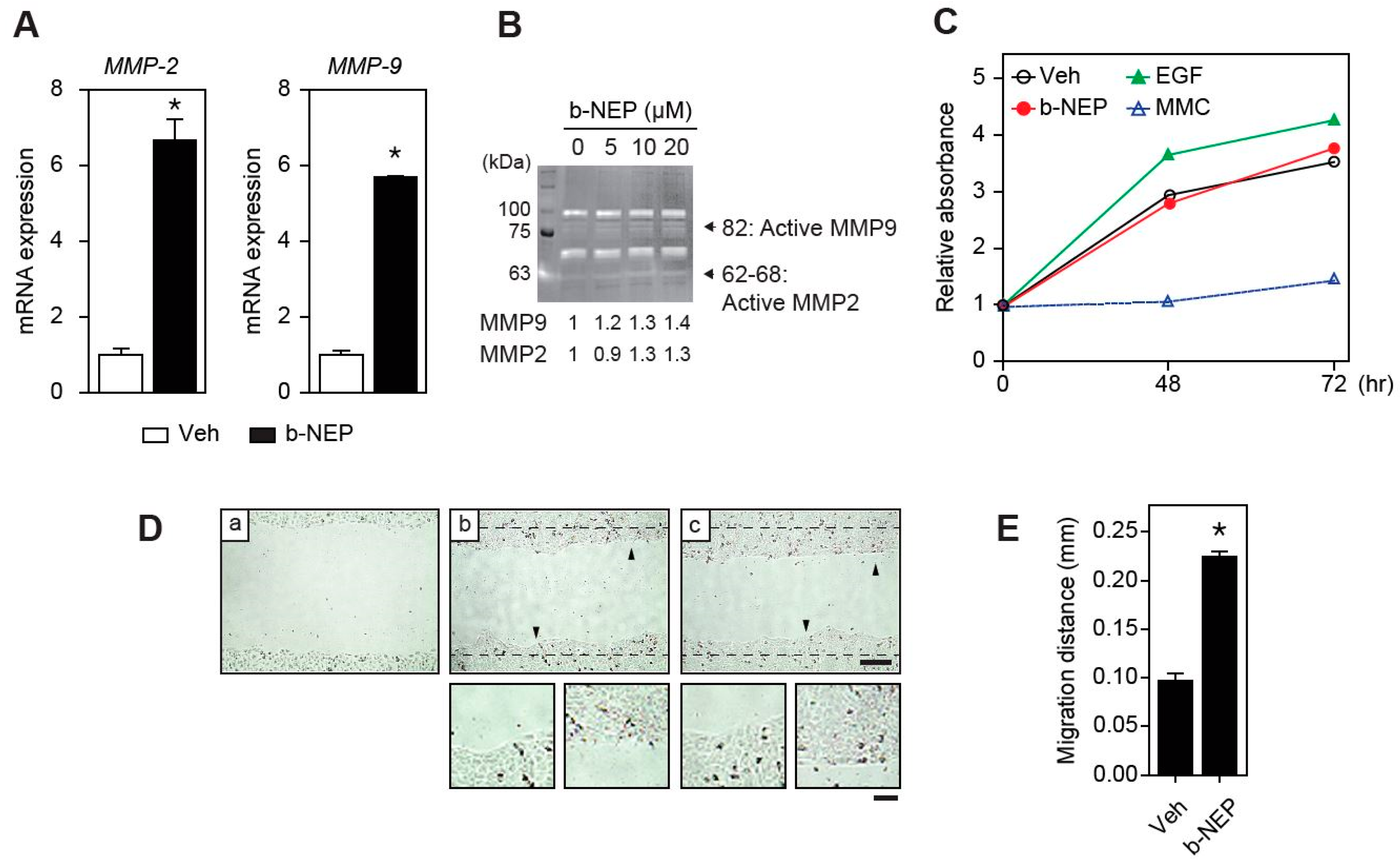 Molecules 25 04640 g003 Molecules 25 04640 g003