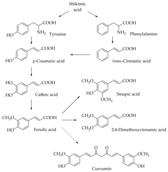 Naturally Occurring Hydroxycinnamic Acids | Encyclopedia MDPI