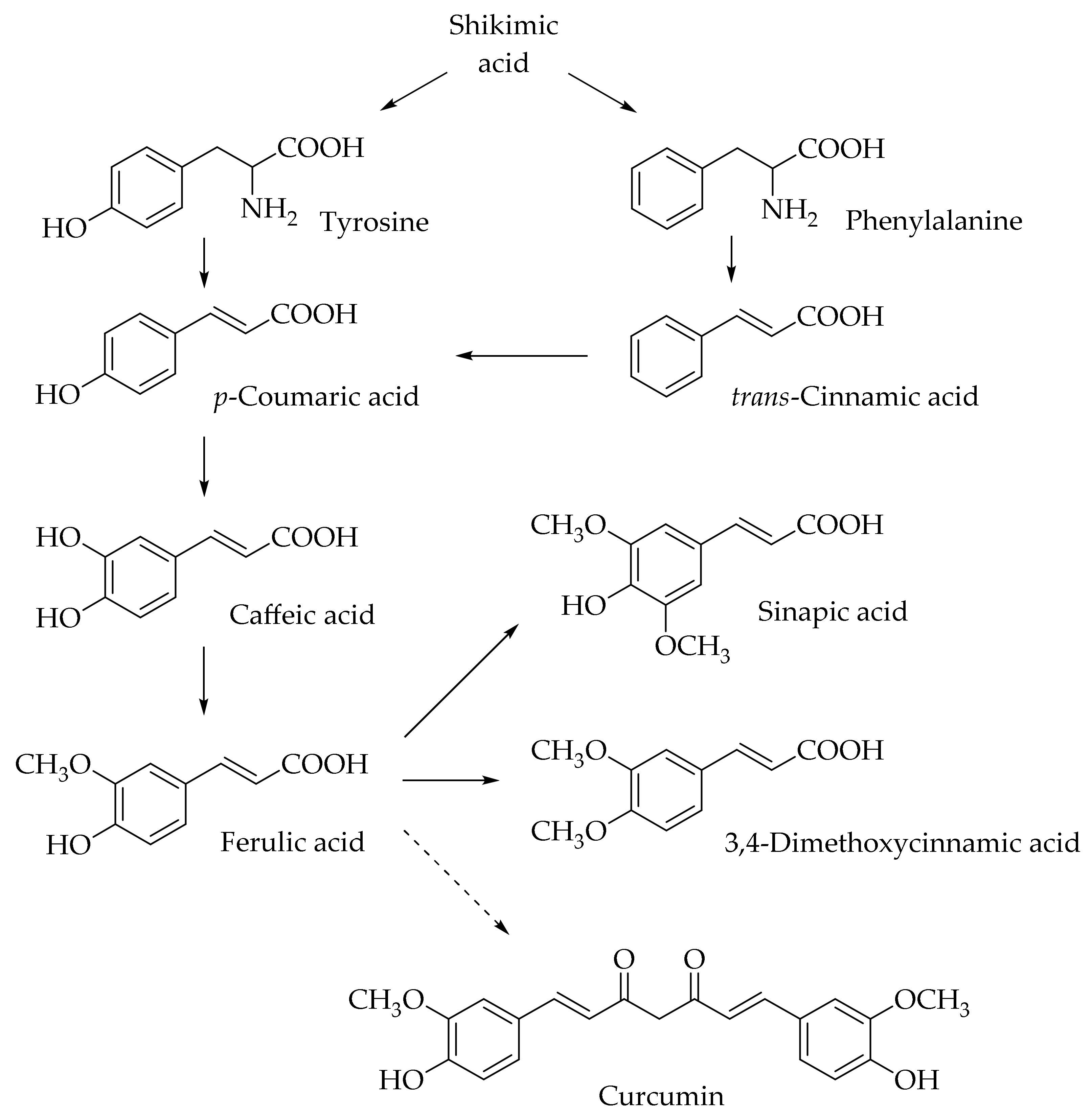 Molecules 25 04647 g001 Molecules 25 04647 g001