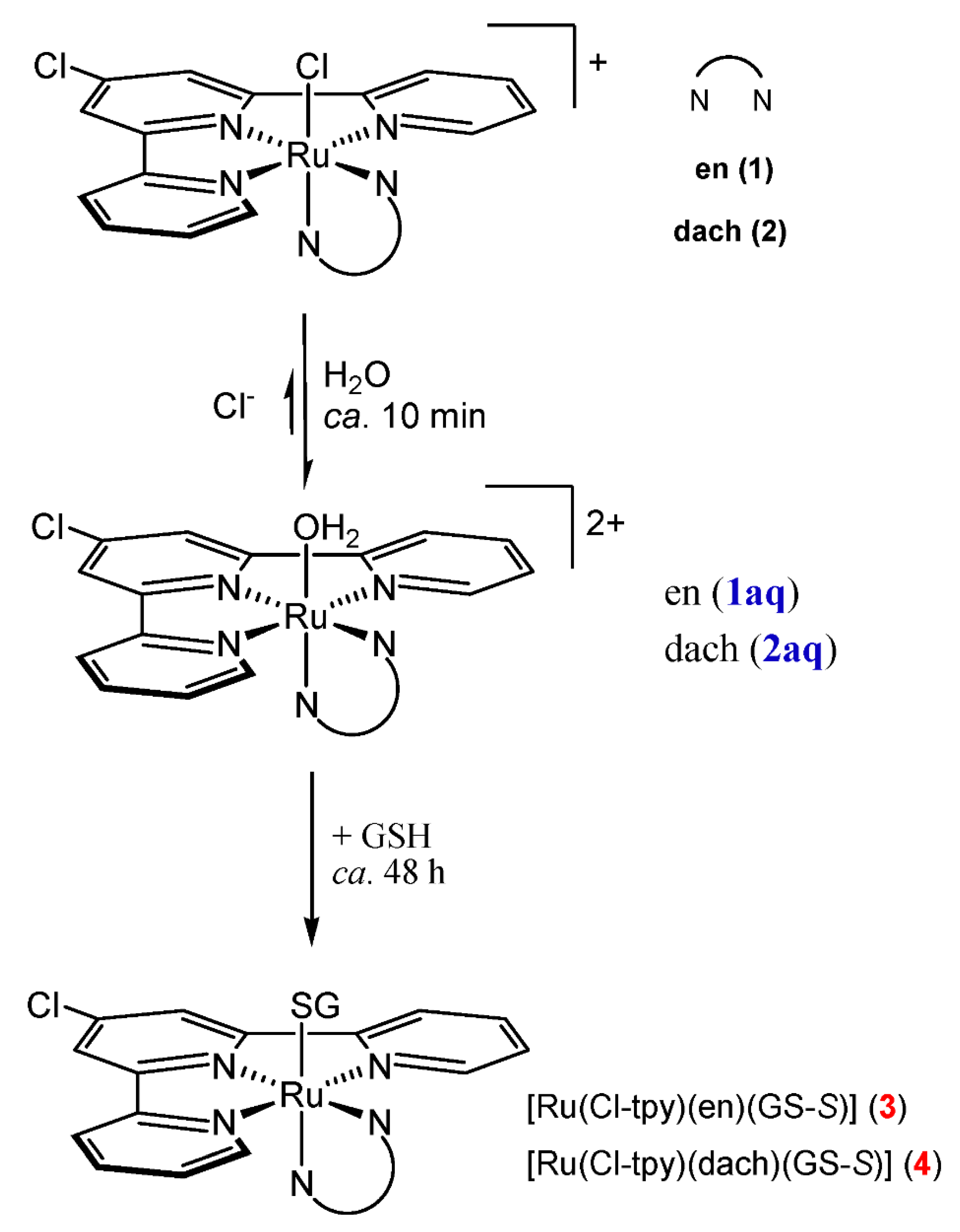 Molecules 25 04699 sch001 Molecules 25 04699 sch001
