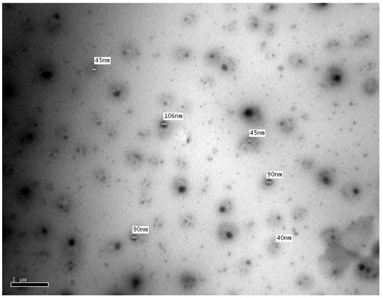 Molecules | Free Full-Text | Influence of Nanoencapsulation Using High ...