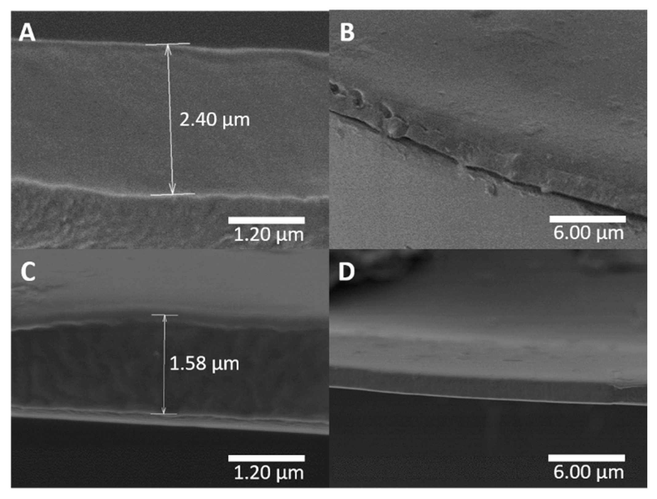 Molecules 25 04774 g008 Molecules 25 04774 g008