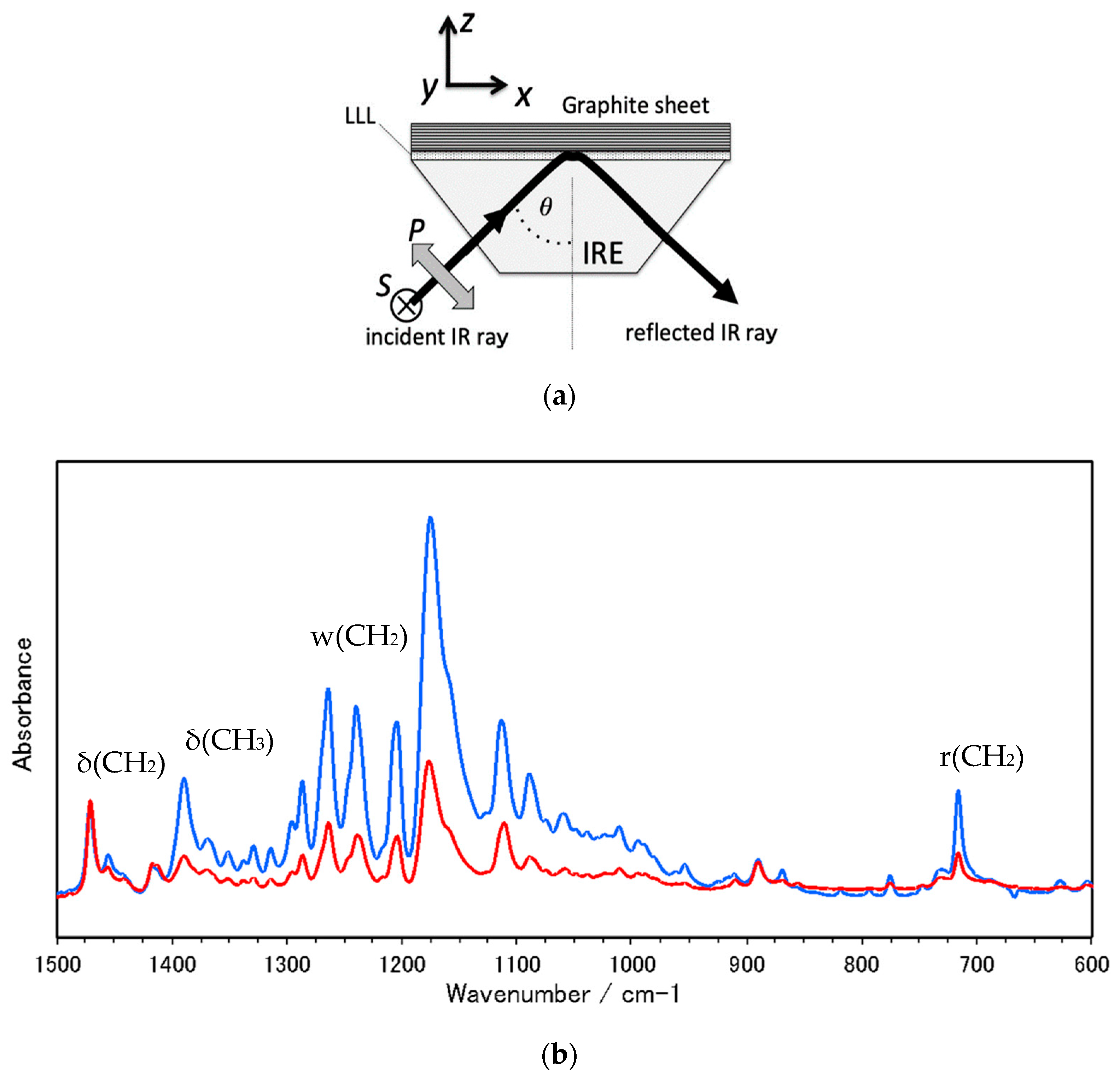 Molecules 25 04786 g003a