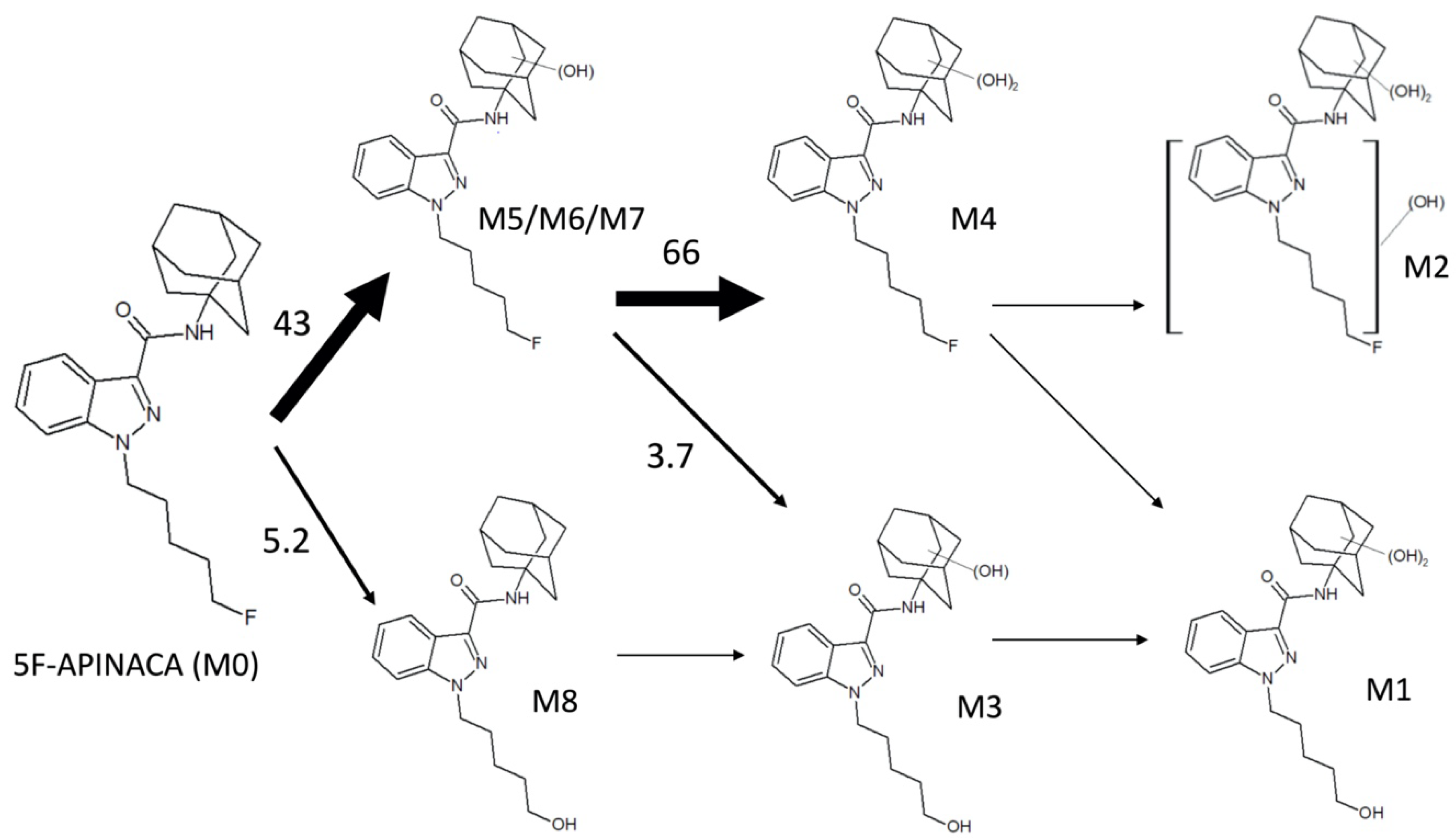 Molecules 25 04820 g007