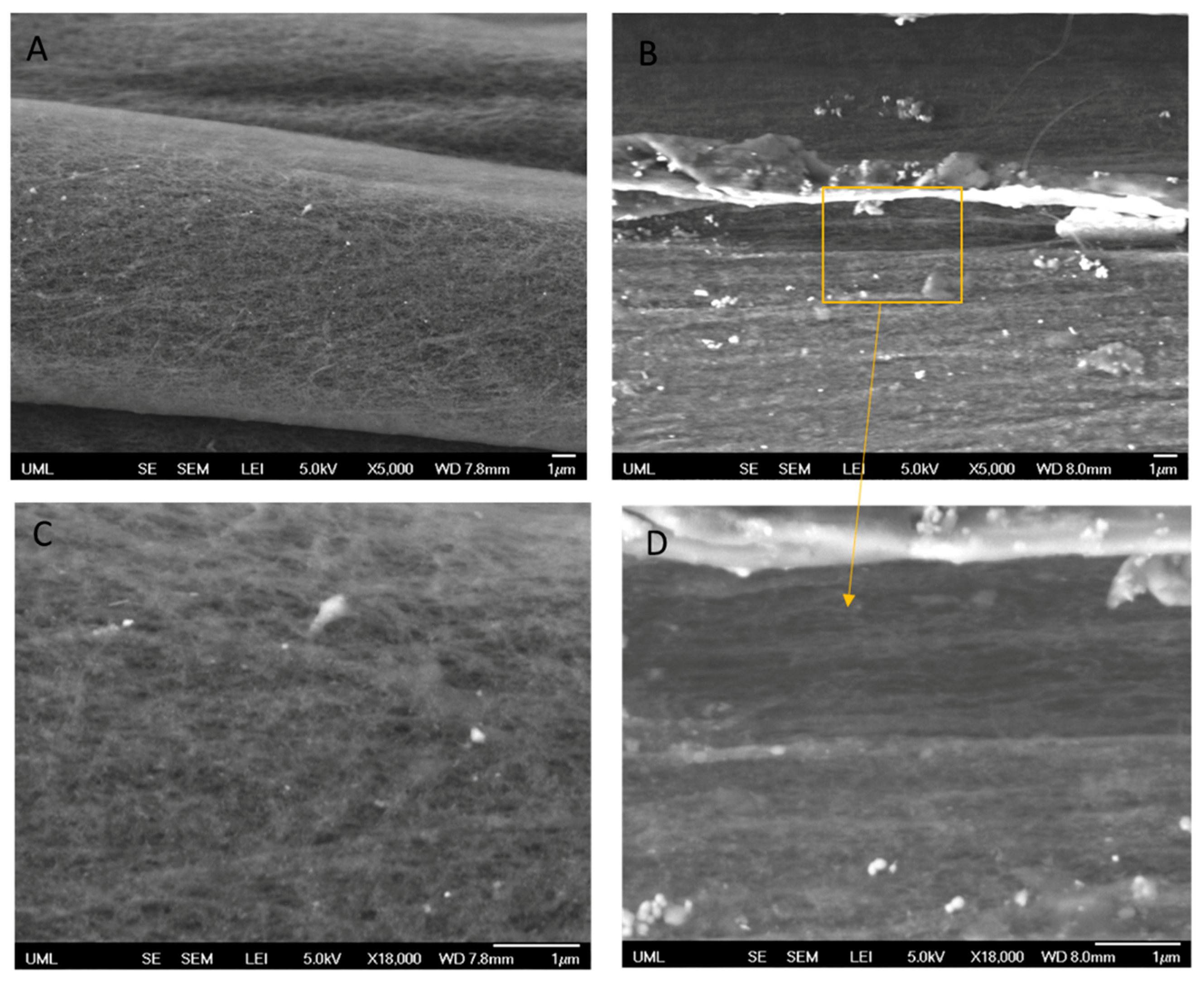 Molecules 25 04824 g003