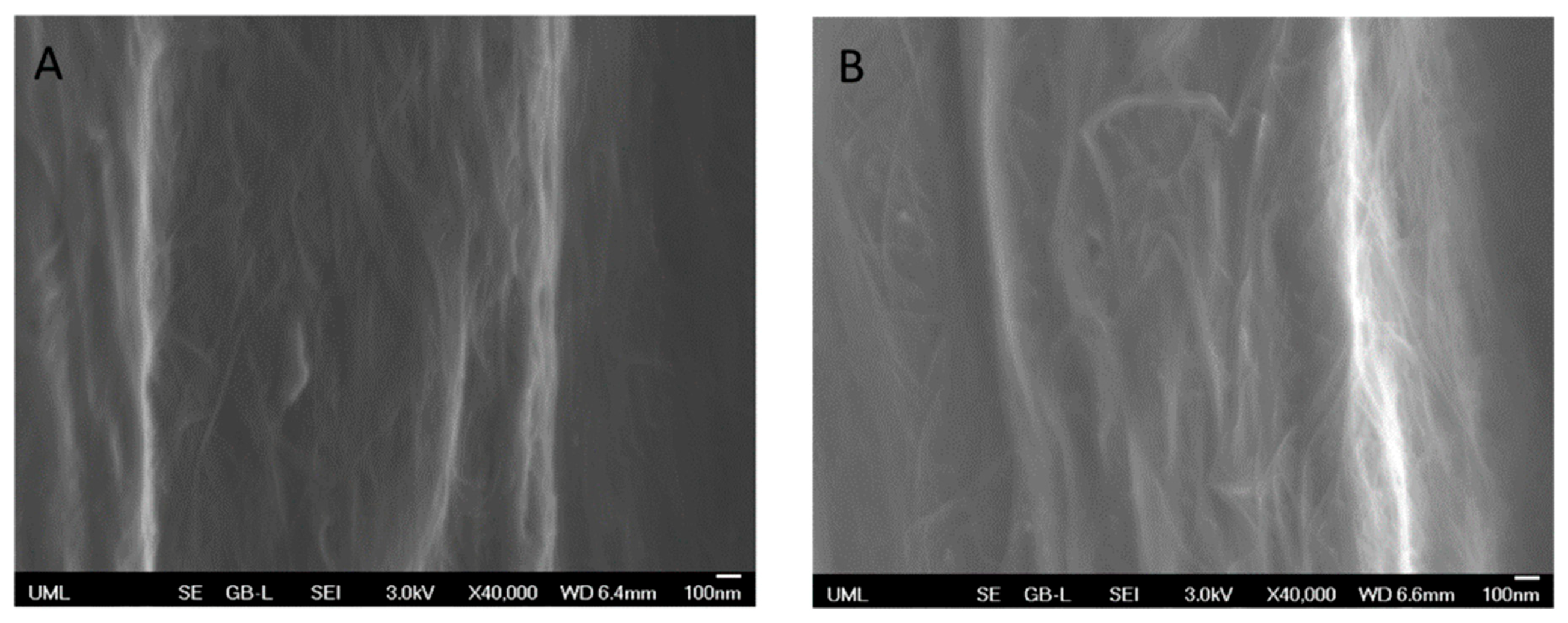 Molecules 25 04824 g004