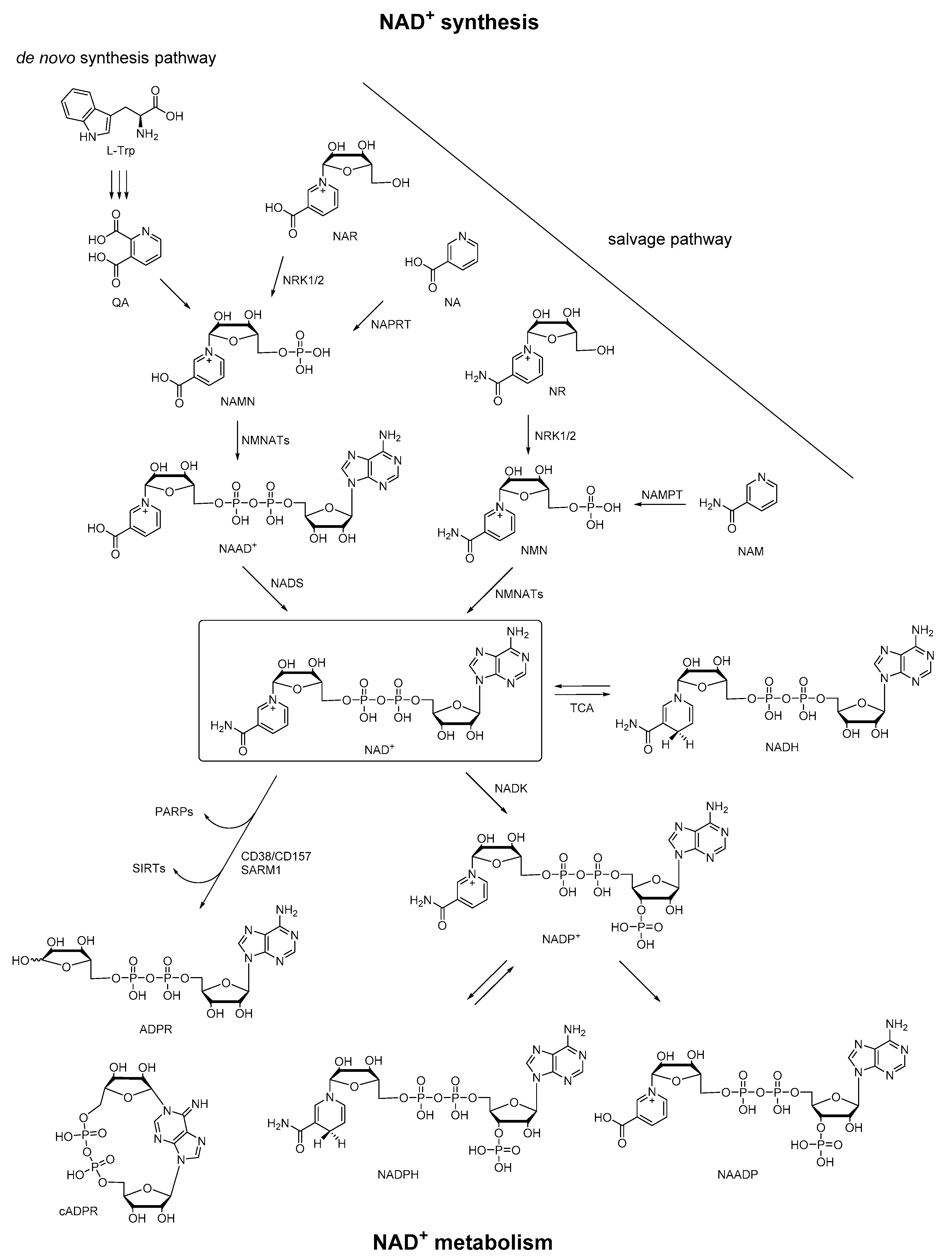 Molecules 25 04826 g001 Molecules 25 04826 g001