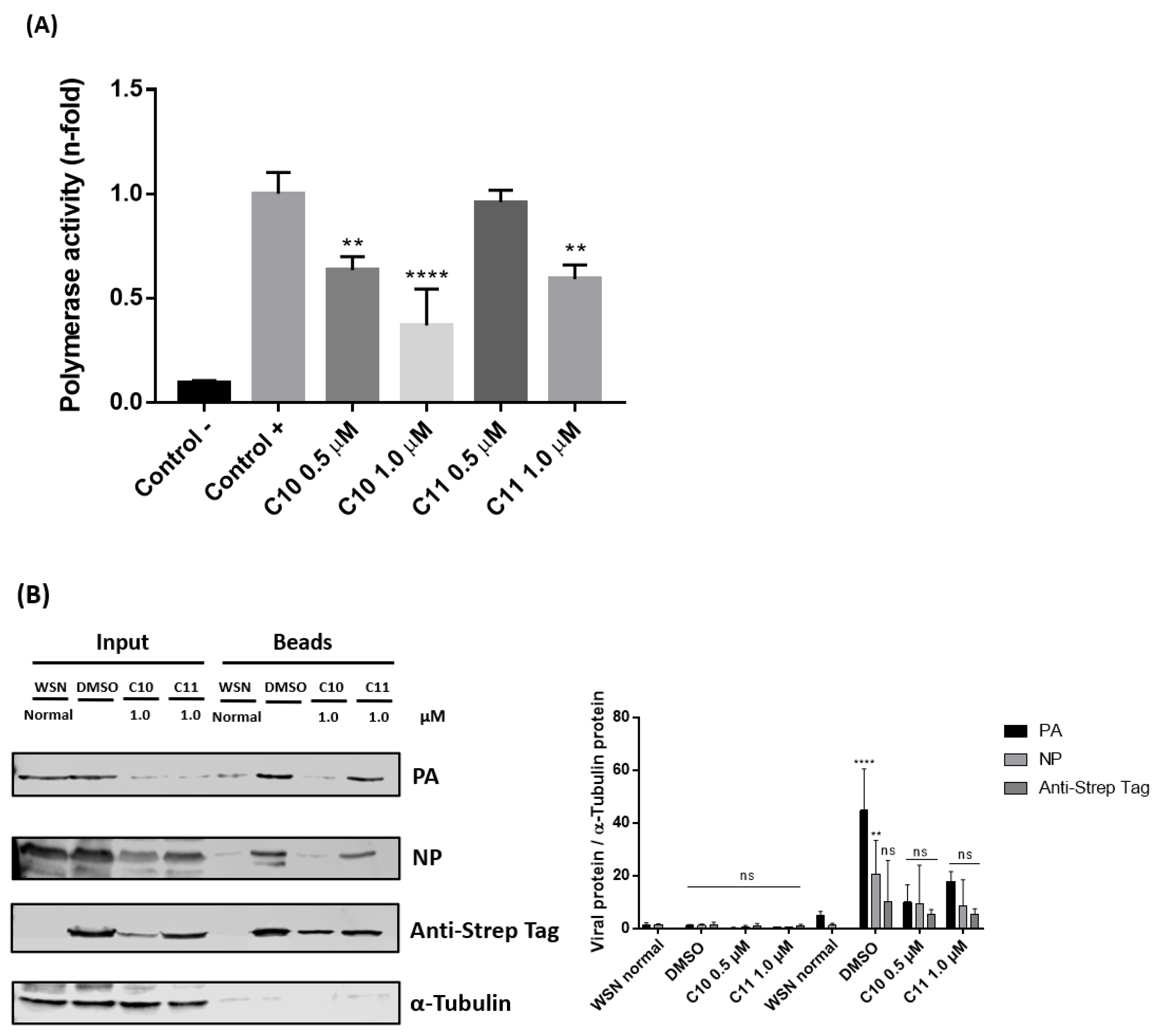 Molecules 25 04853 g005