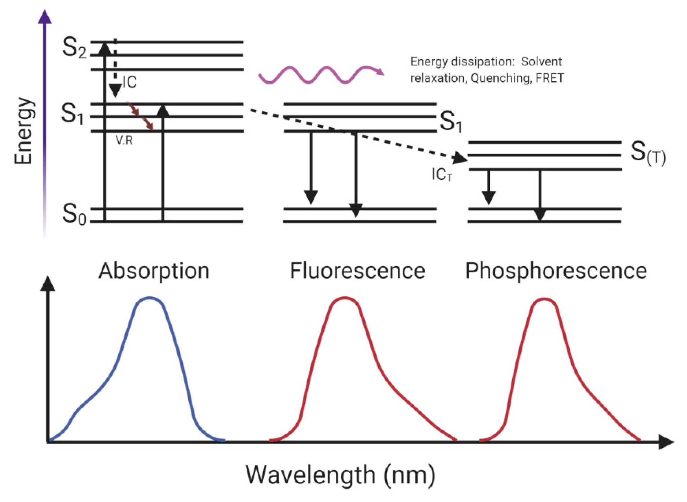 Molecules 25 04854 g005 Molecules 25 04854 g005