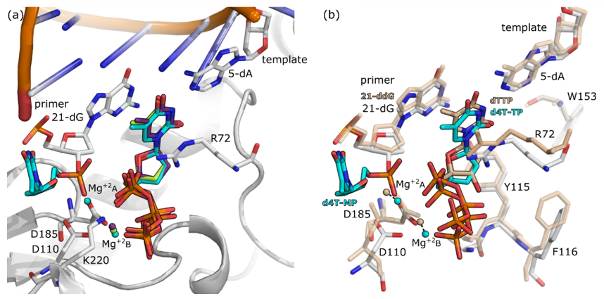 Molecules 25 04868 g005 Molecules 25 04868 g005