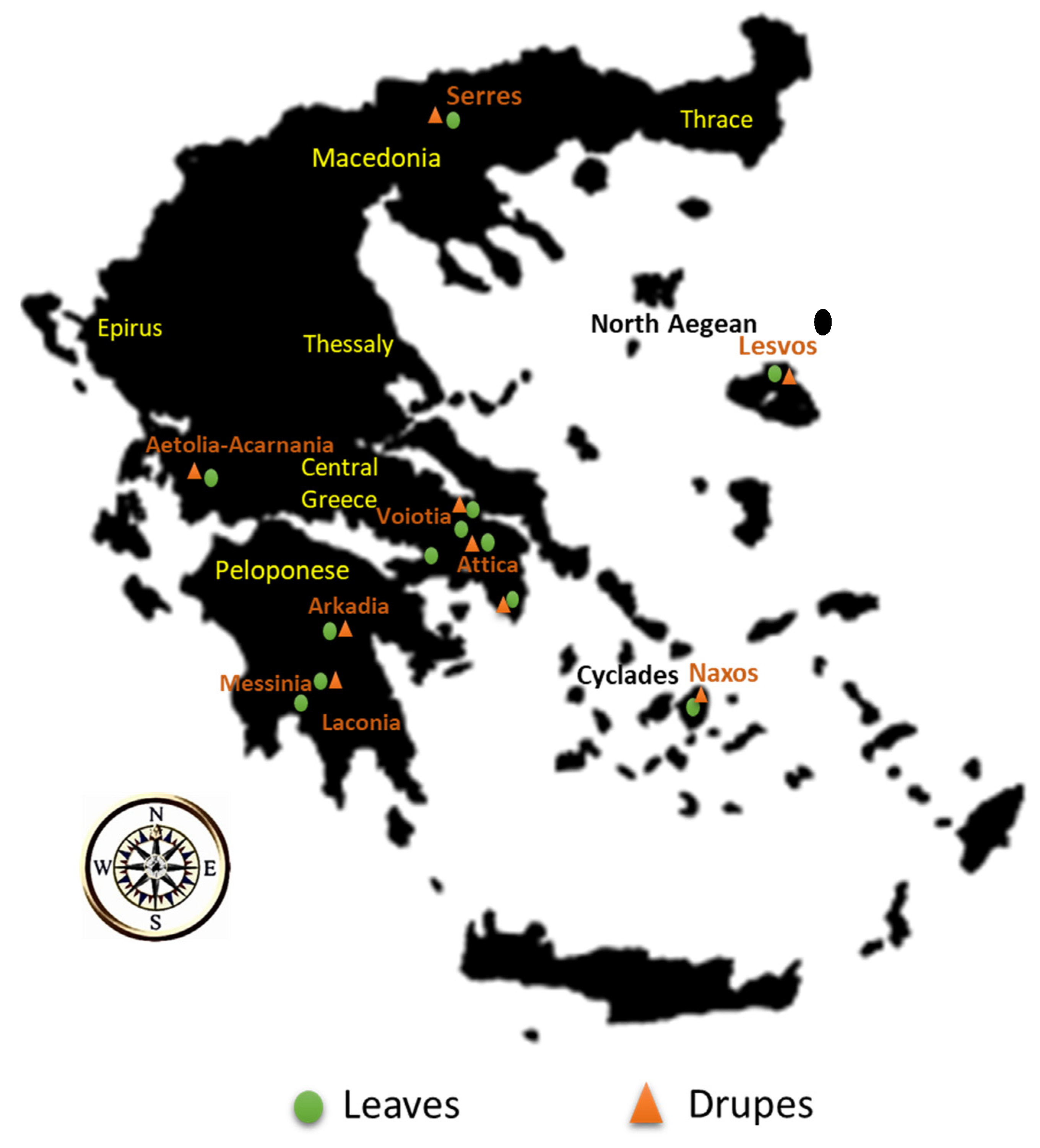Molecules 25 04889 g001 Molecules 25 04889 g001